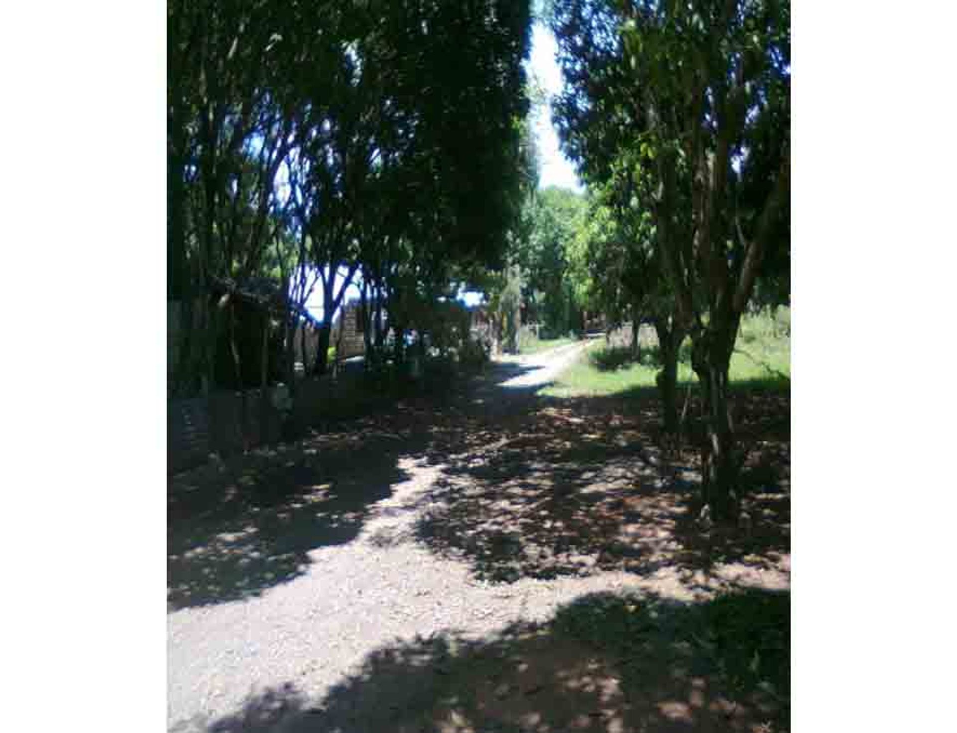 Land in Barrio Militaire, Nueva Ecija 11155378