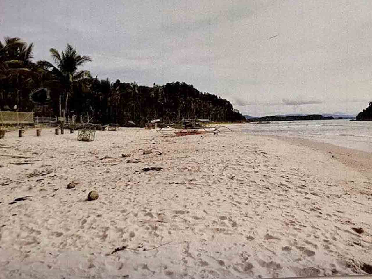 Terra no São Vicente, Palawan 11155692