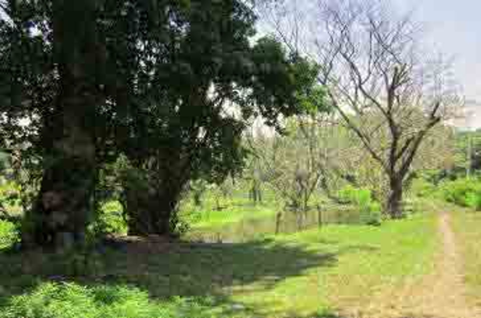 Tierra en Bugo, Cagayán de Oro 11155747