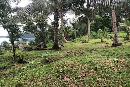 Land in Buruanga, Western Visayas 11155878