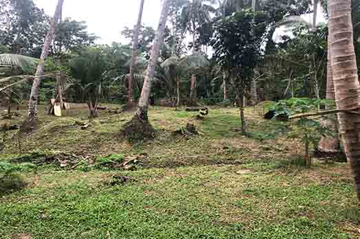 Land in Buruanga, Western Visayas 11155878