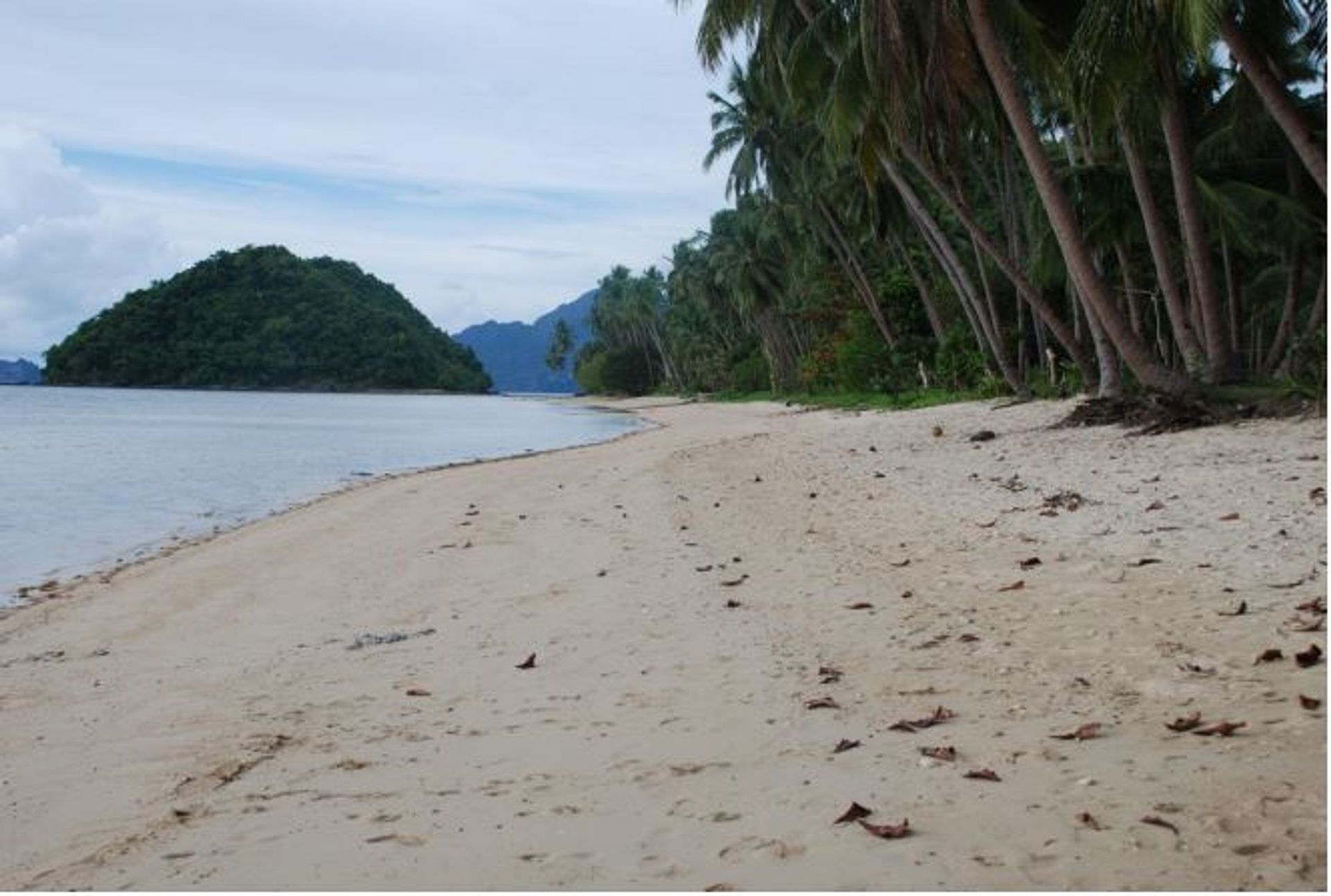 Tanah dalam El Nido, MIMAROPA 11156824