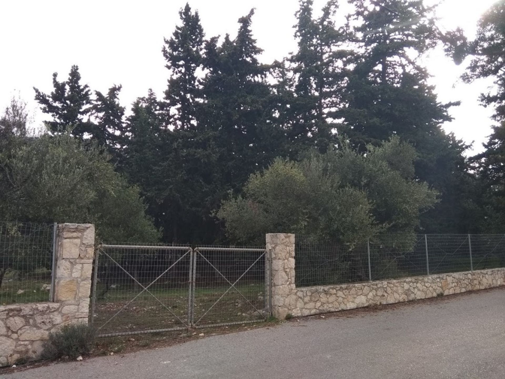 Land i Kefalas, Kriti 11157745