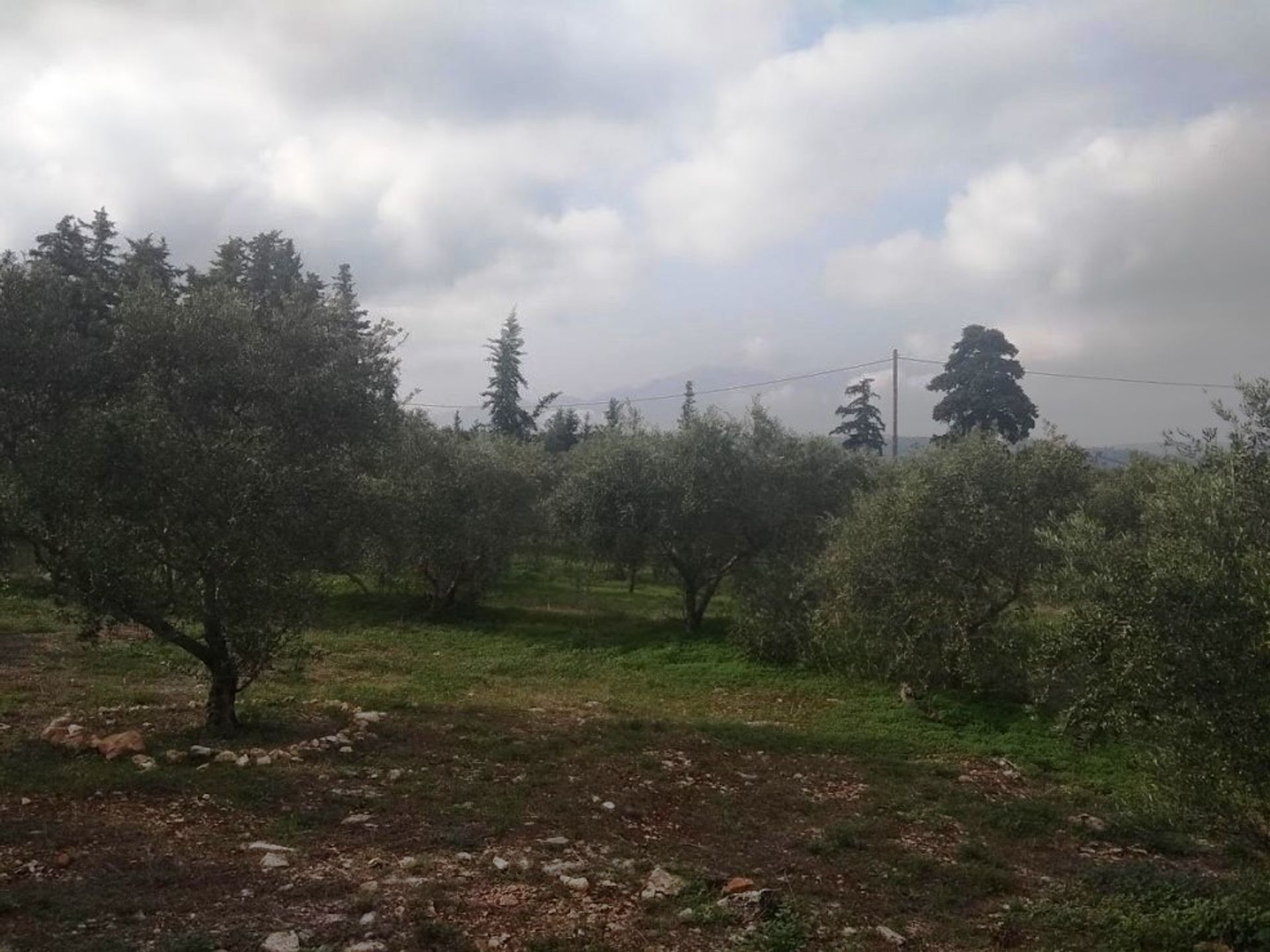 Land i Kefalas, Kriti 11157745