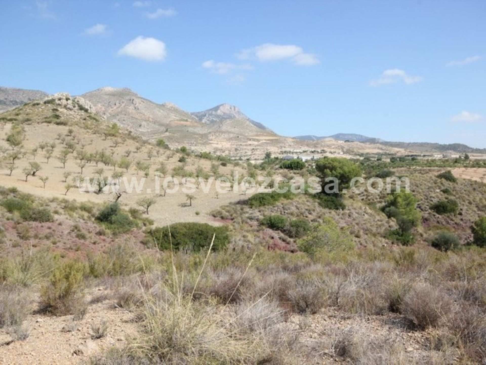 Tanah dalam Lorca, Región de Murcia 11158000