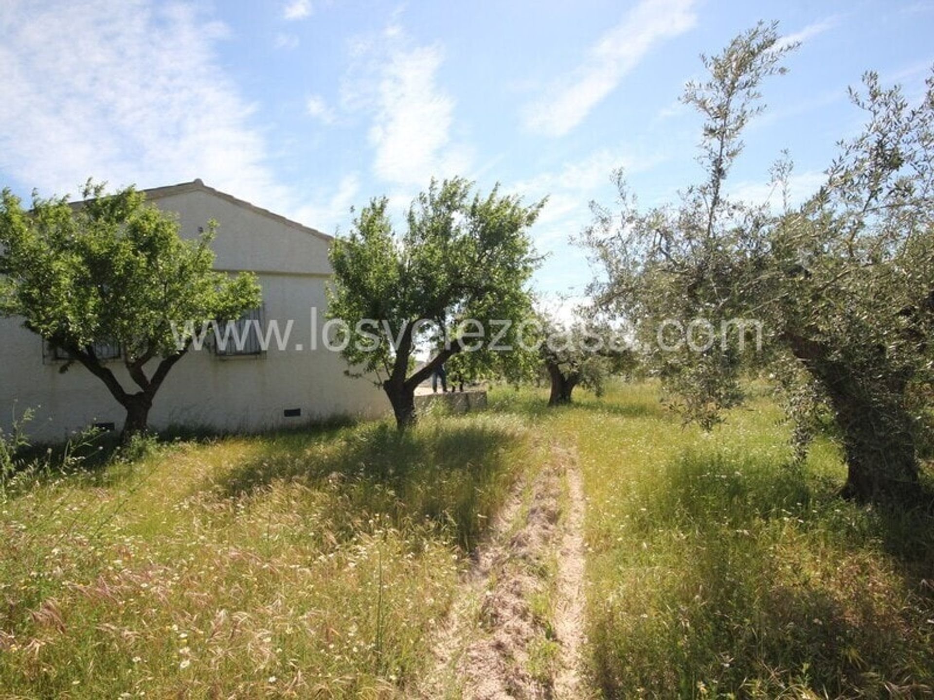 بيت في Vélez-Blanco, Andalucía 11158247