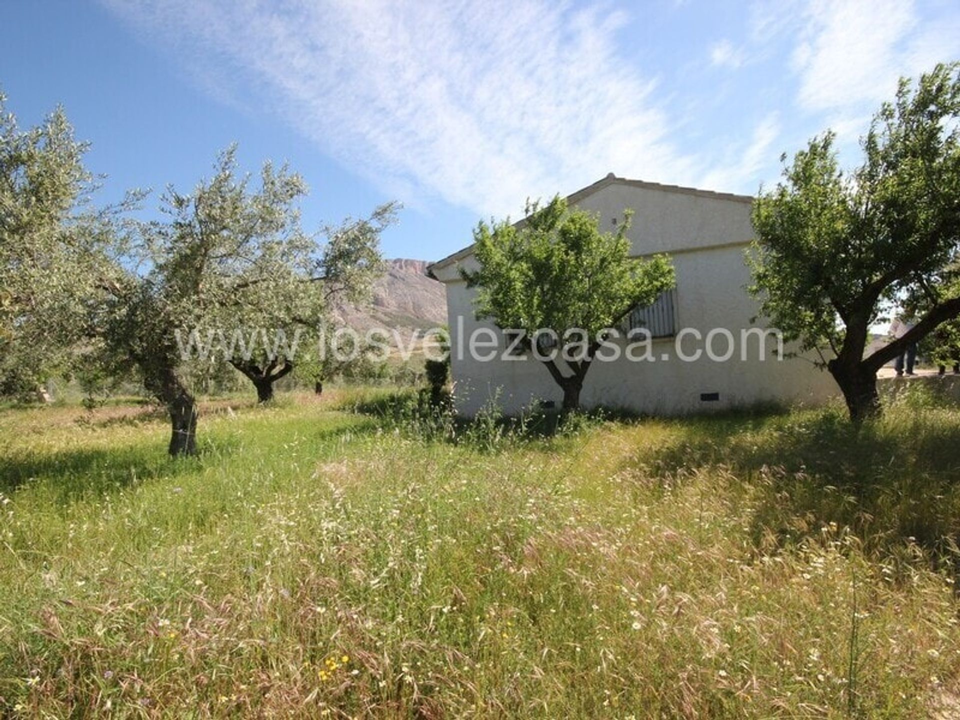 Casa nel Vélez-Blanco, Andalucía 11158247