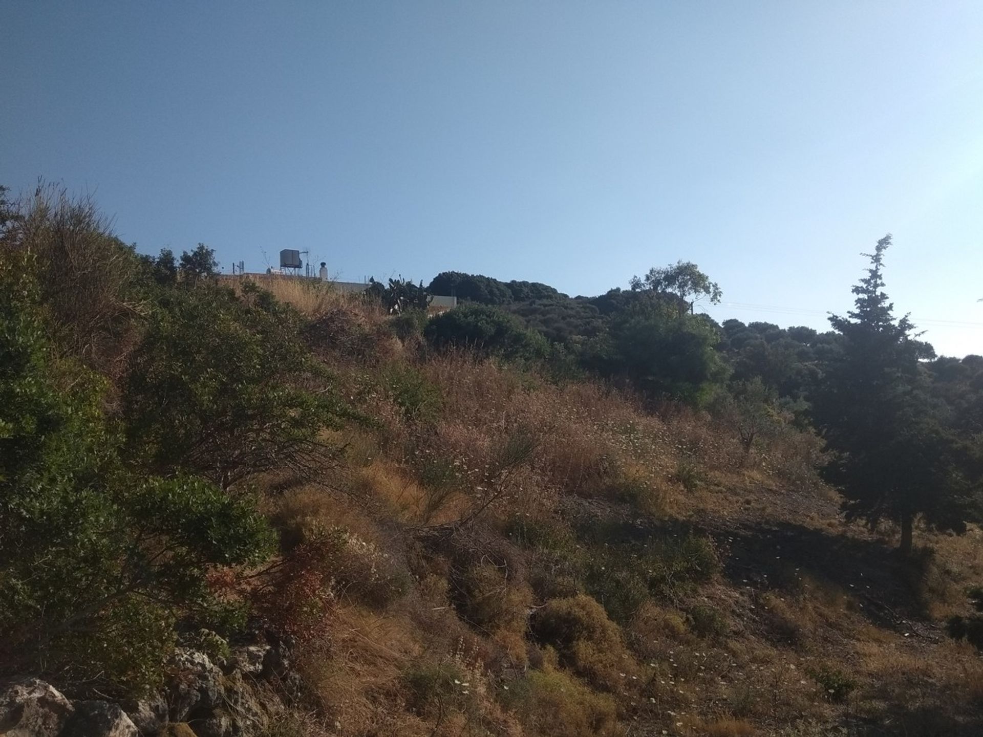 Land i Rapaniana, Kriti 11158296