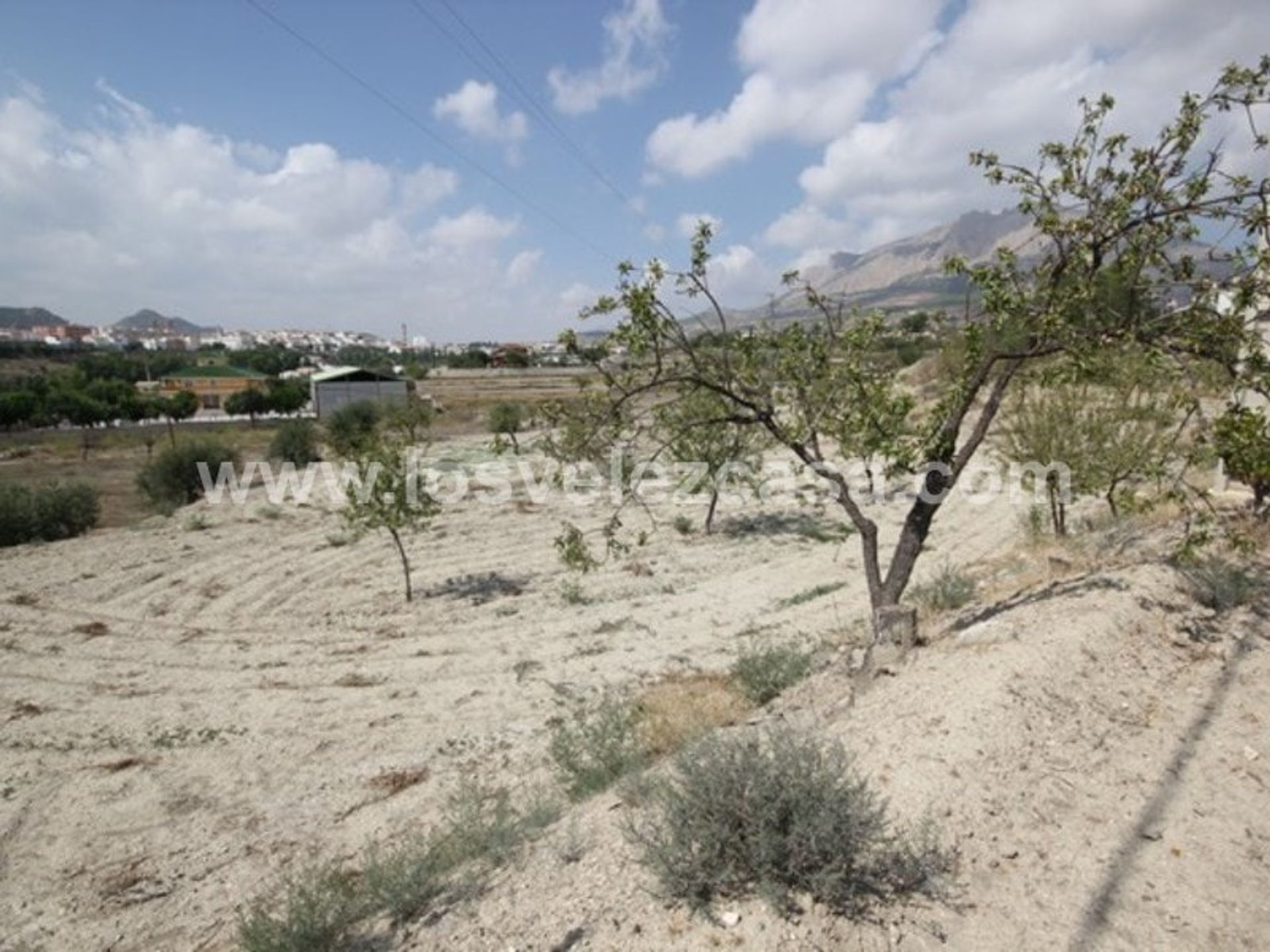 Maa sisään Velez Rubio, Andalusia 11158367