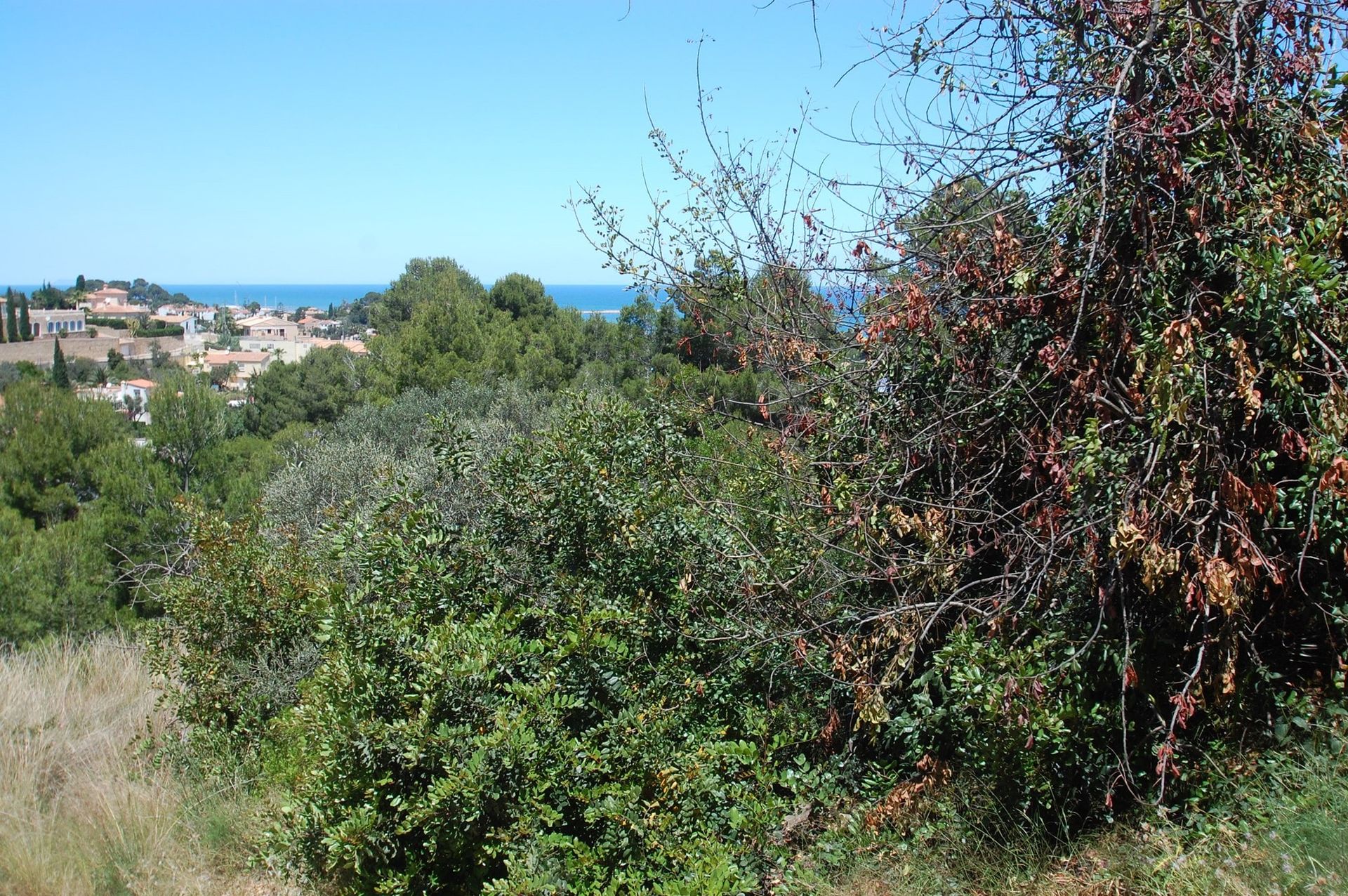 Tierra en Dénia, Comunidad Valenciana 11159028