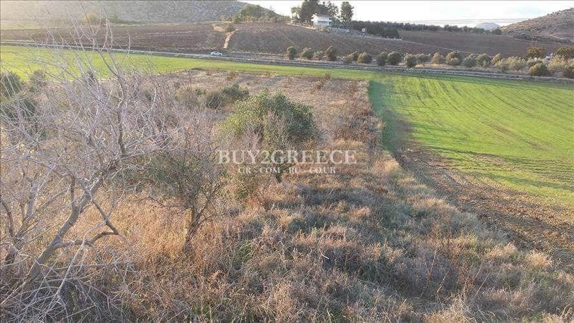 Land in Thebe, Sterea Ellada 11159313