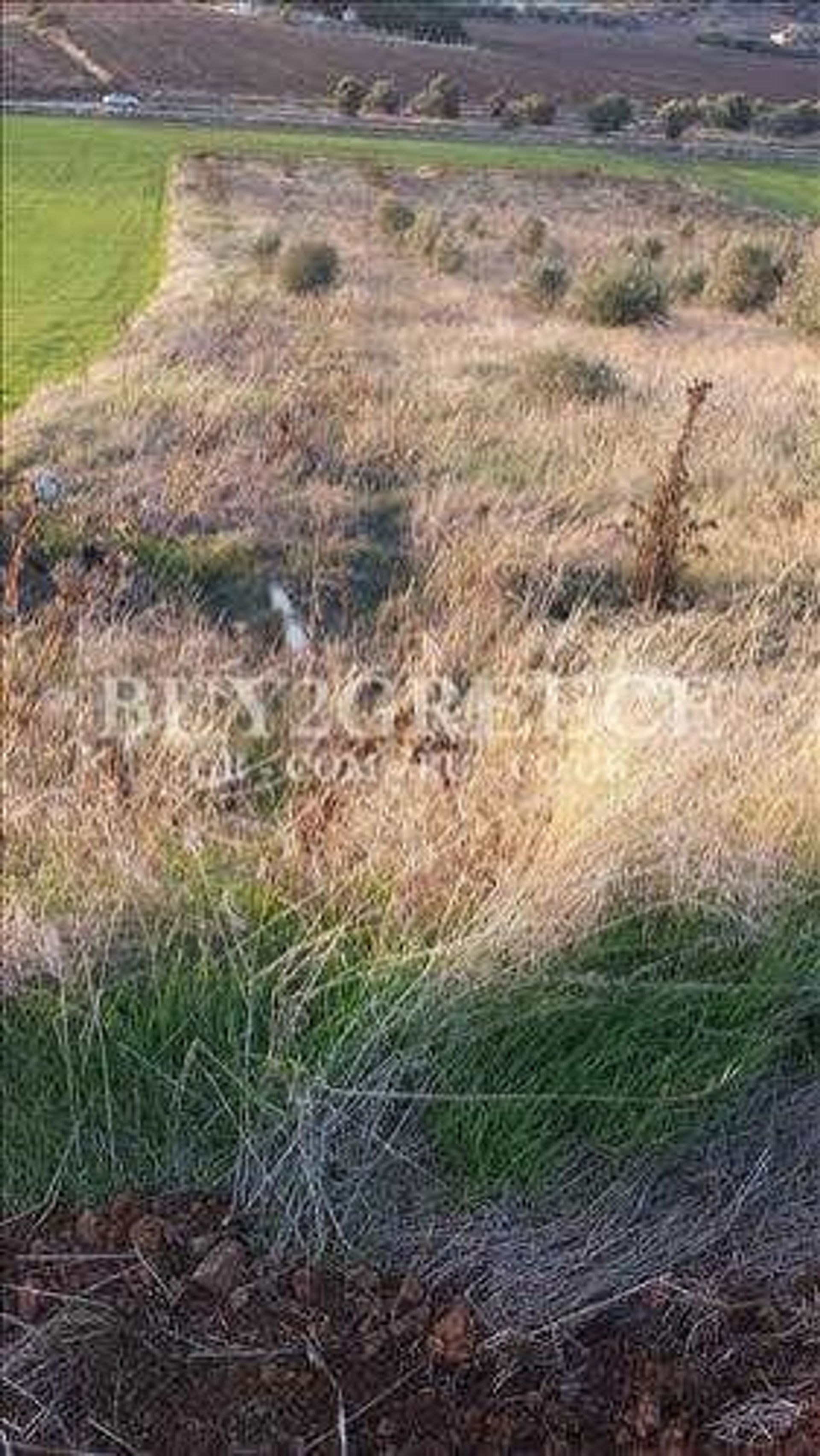 Land in Thebe, Sterea Ellada 11159313