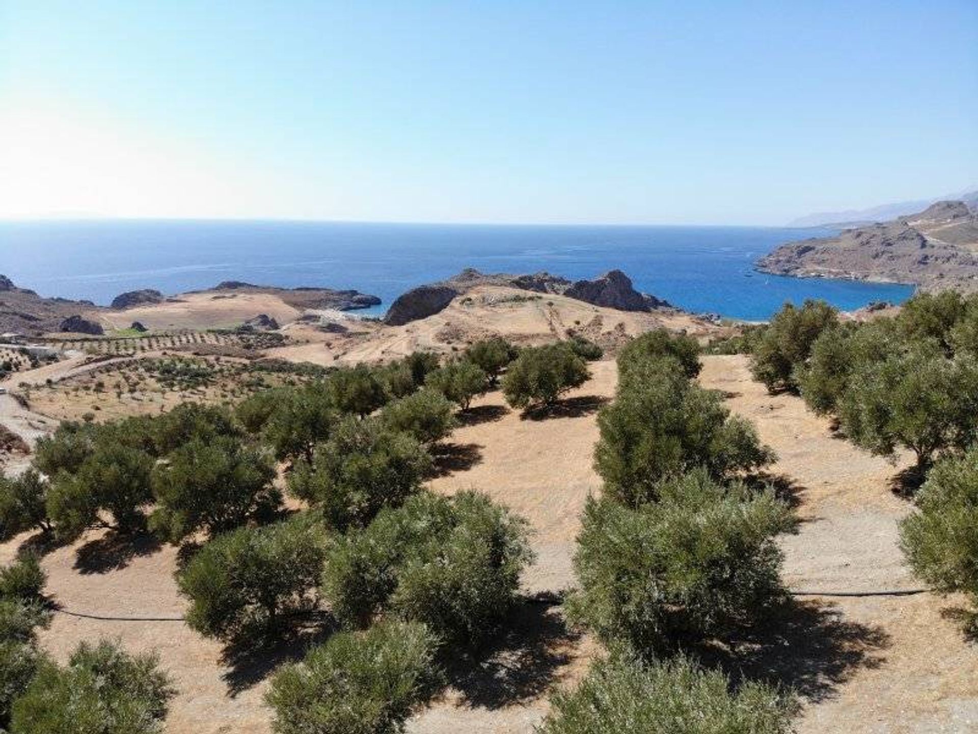 Land i Plakias, Kriti 11159341