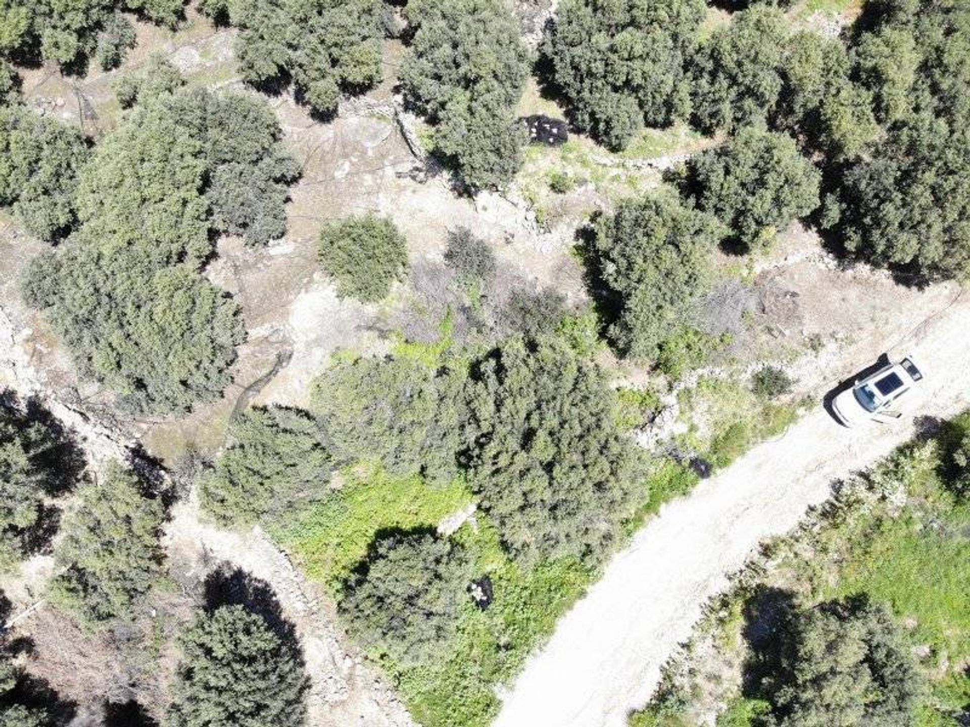 Land i Plakias, Kriti 11159347