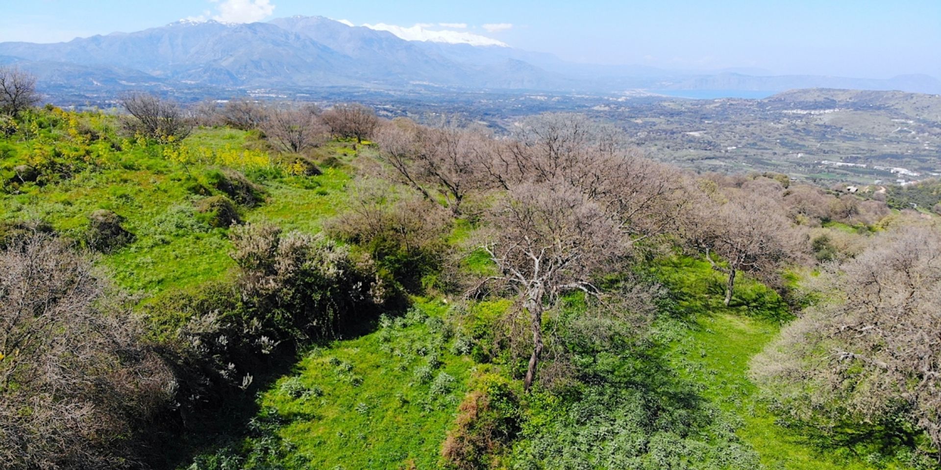 土地 在 Καλλιθέα,  11159429