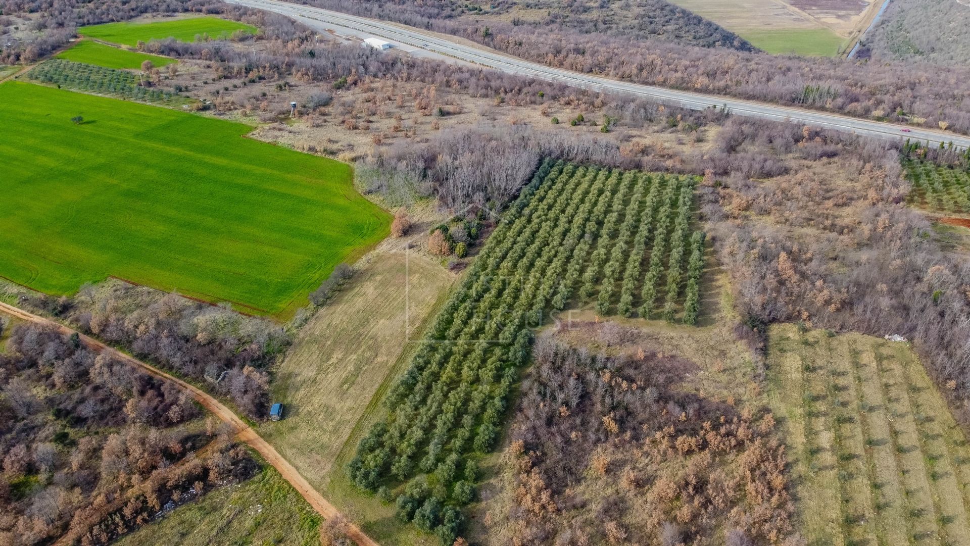 Land i Kaštelir, Istria County 11159902