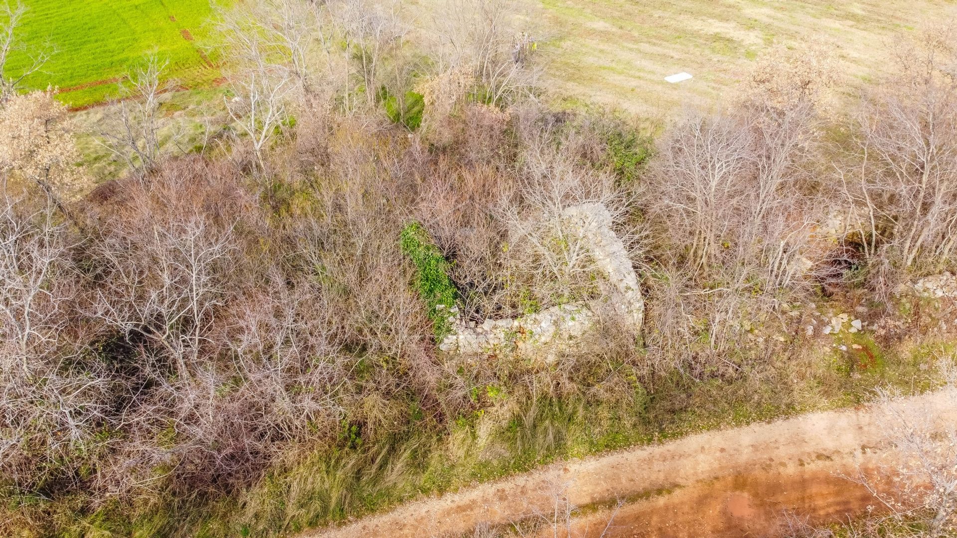 Land i Kaštelir, Istria County 11159902