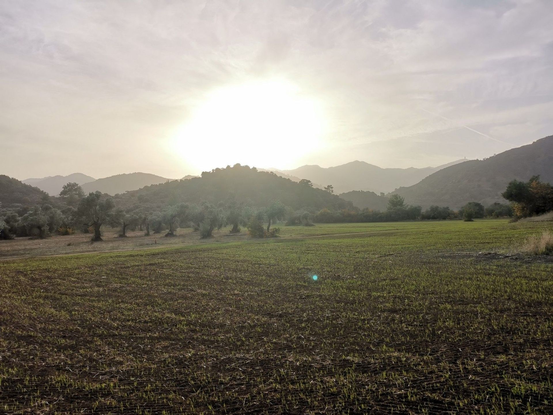 Land i , Lefkoşa kazası 11160148