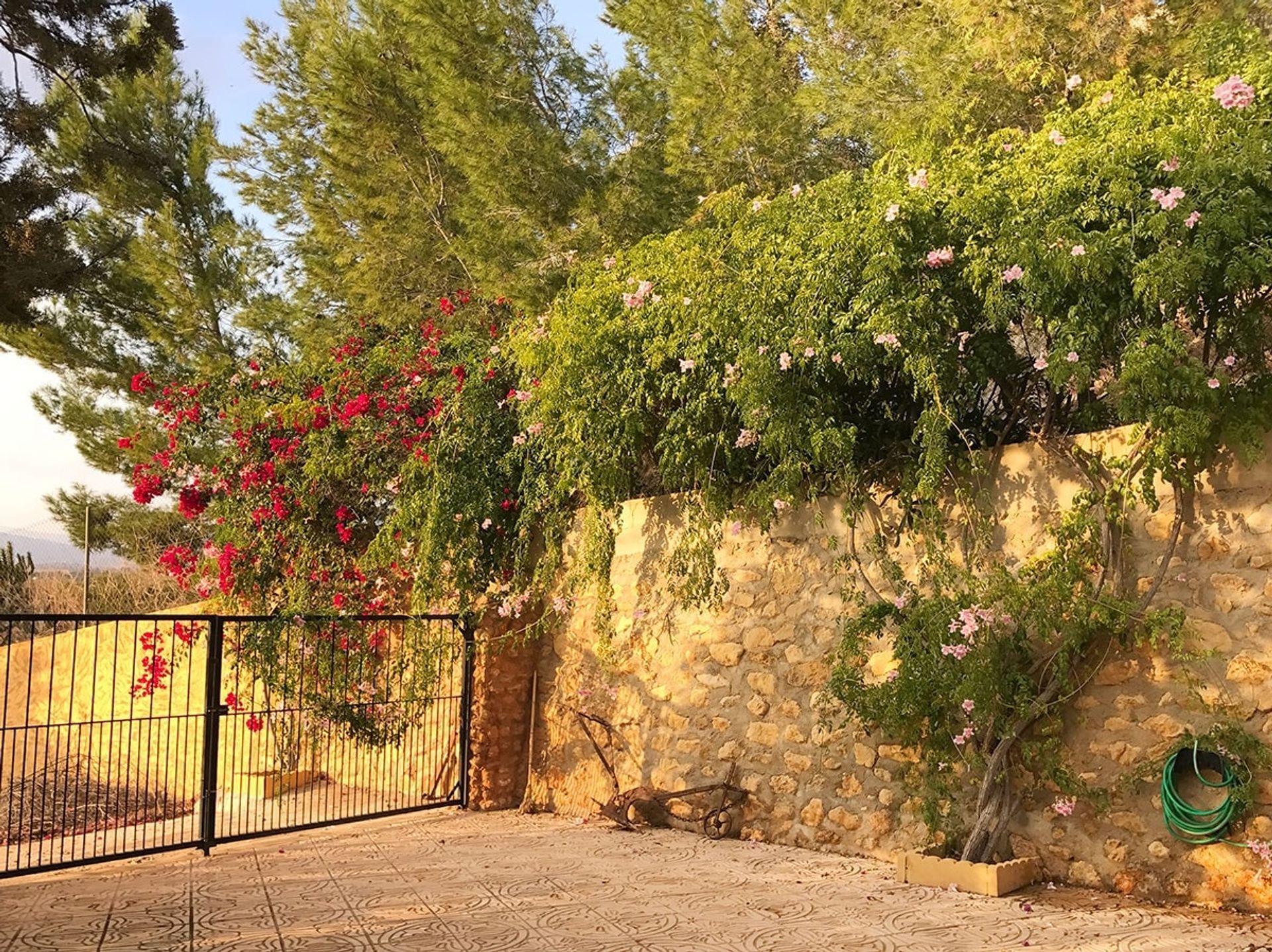 بيت في Blanca, Región de Murcia 11160456