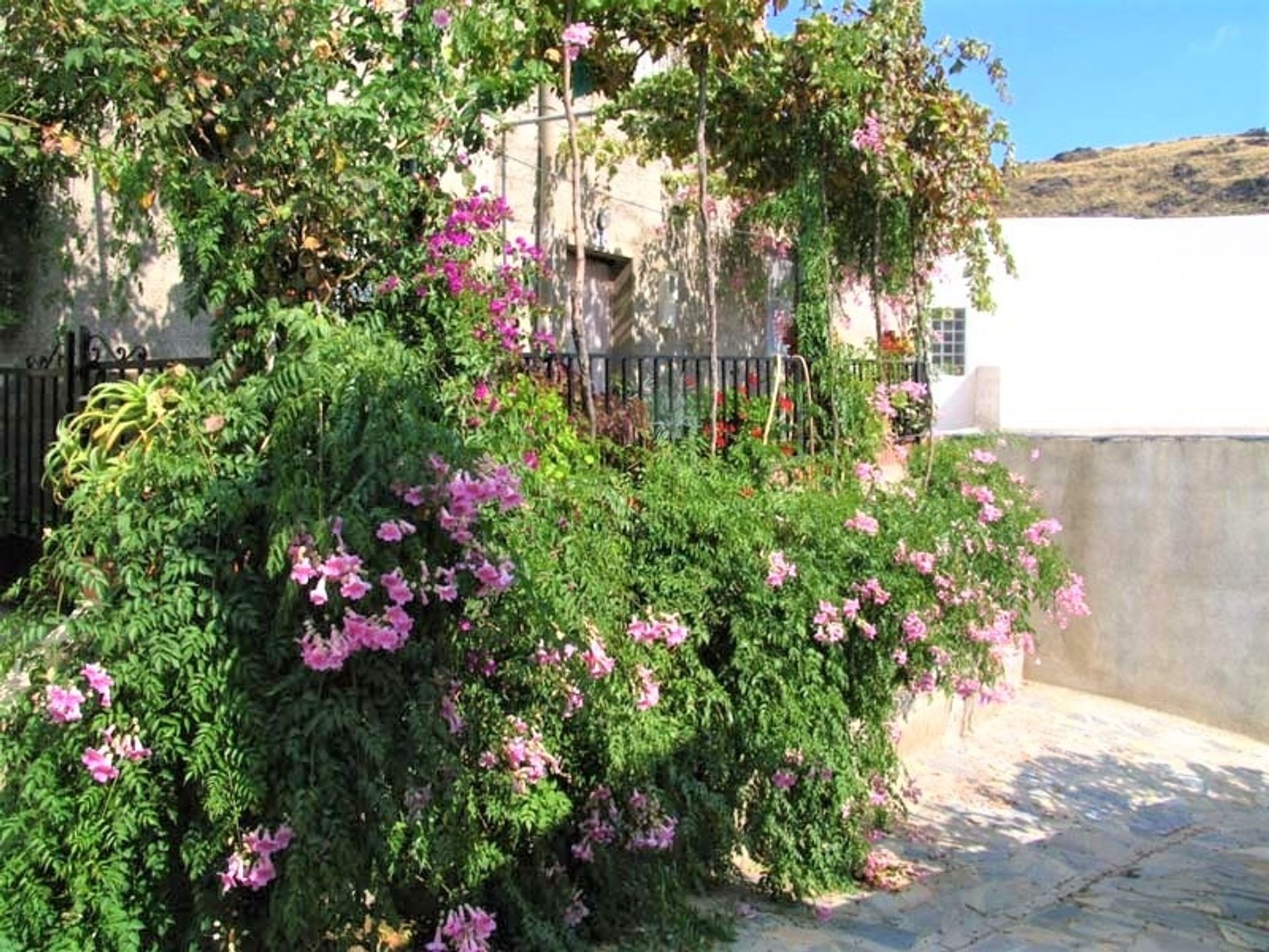 σπίτι σε Tabernas, Andalucía 11160659