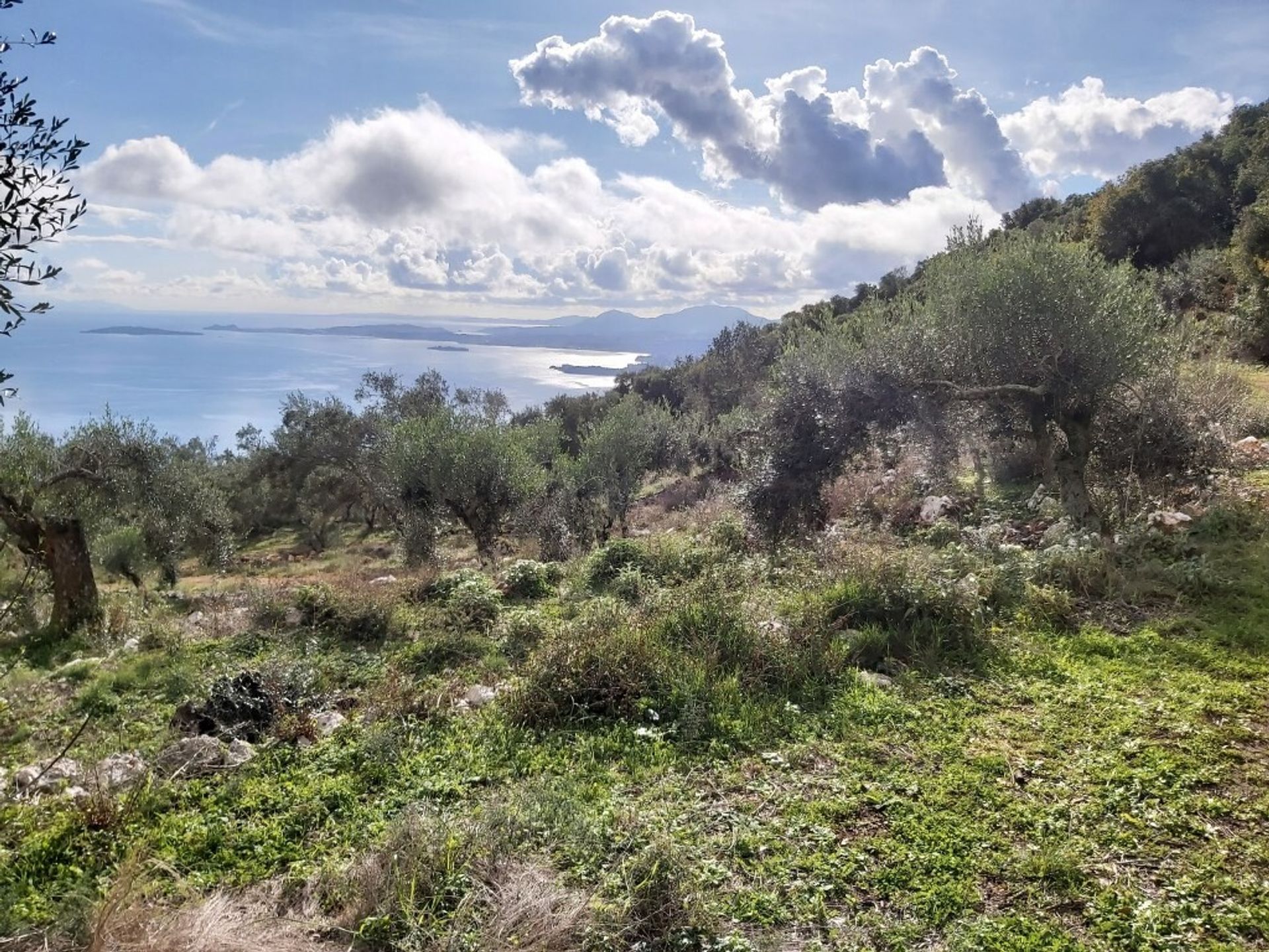 Land i Agios Markos, Ionia Nisia 11161435