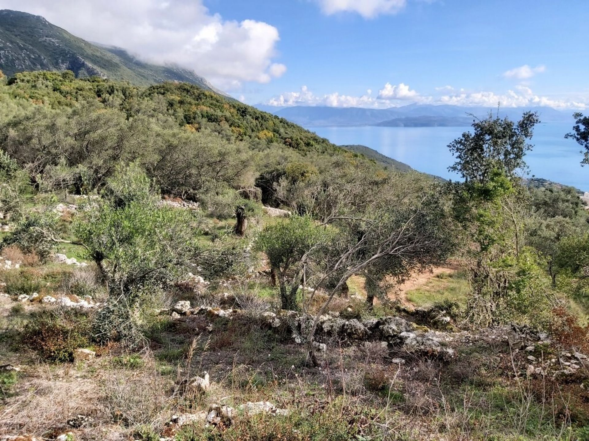 Land im Agios Markos, Ionia Nisia 11161435