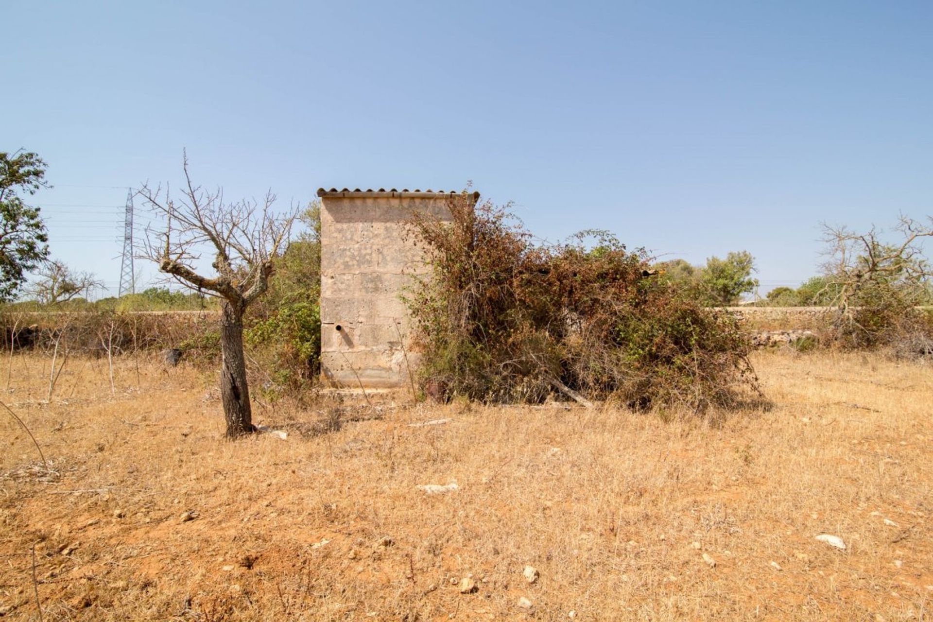 Land im , Illes Balears 11161962