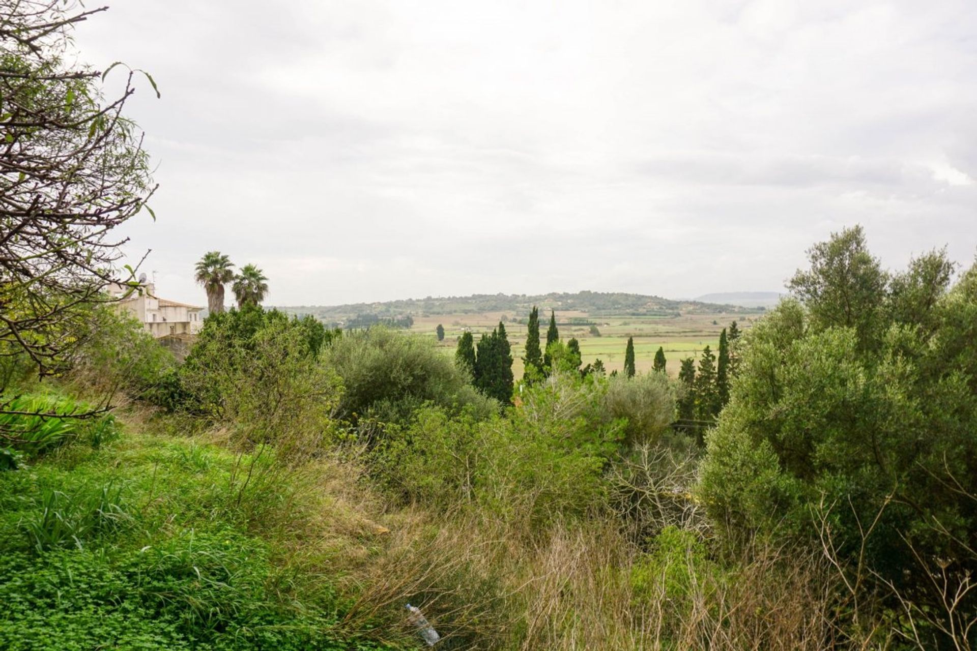 Wylądować w Santa Margalida, Illes Balears 11162061