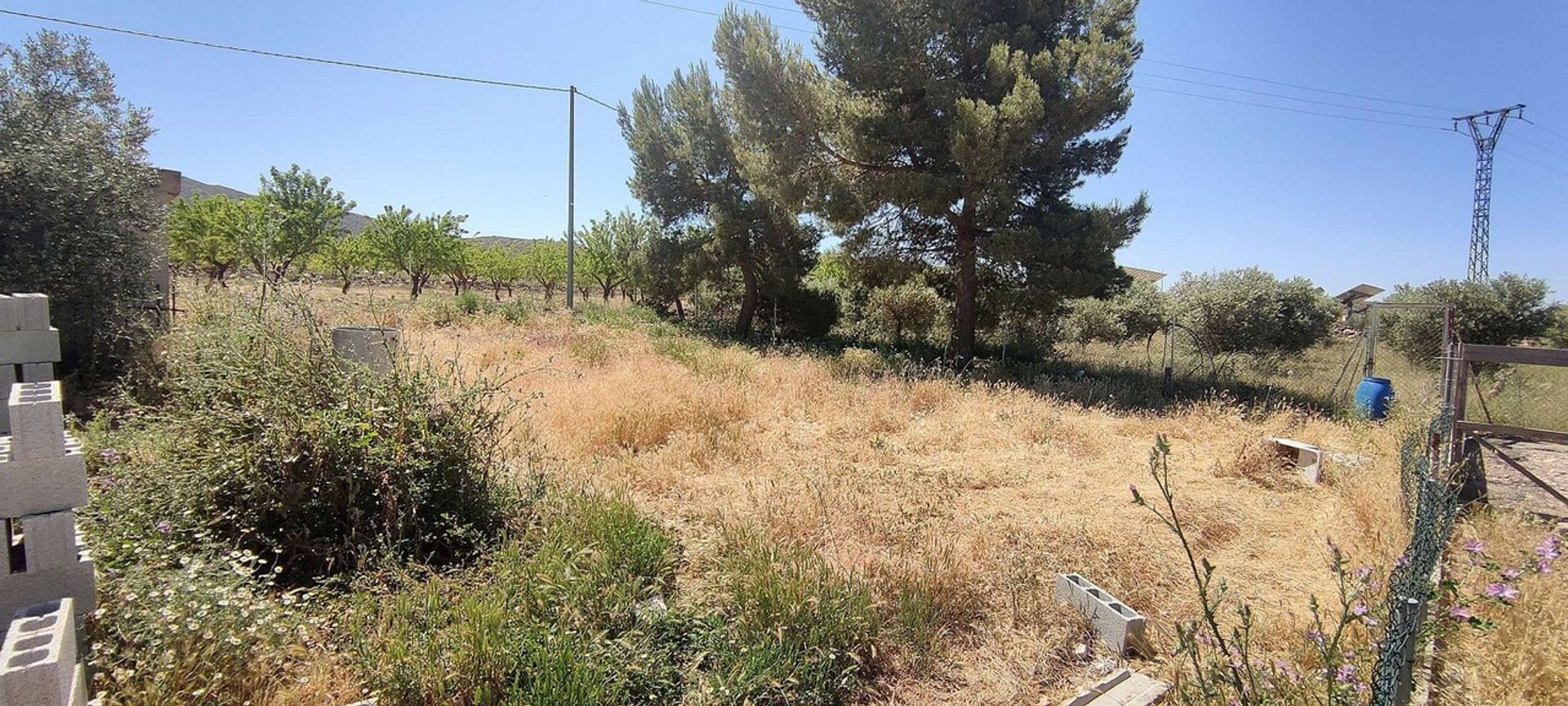 rumah dalam Yecla, Región de Murcia 11162359