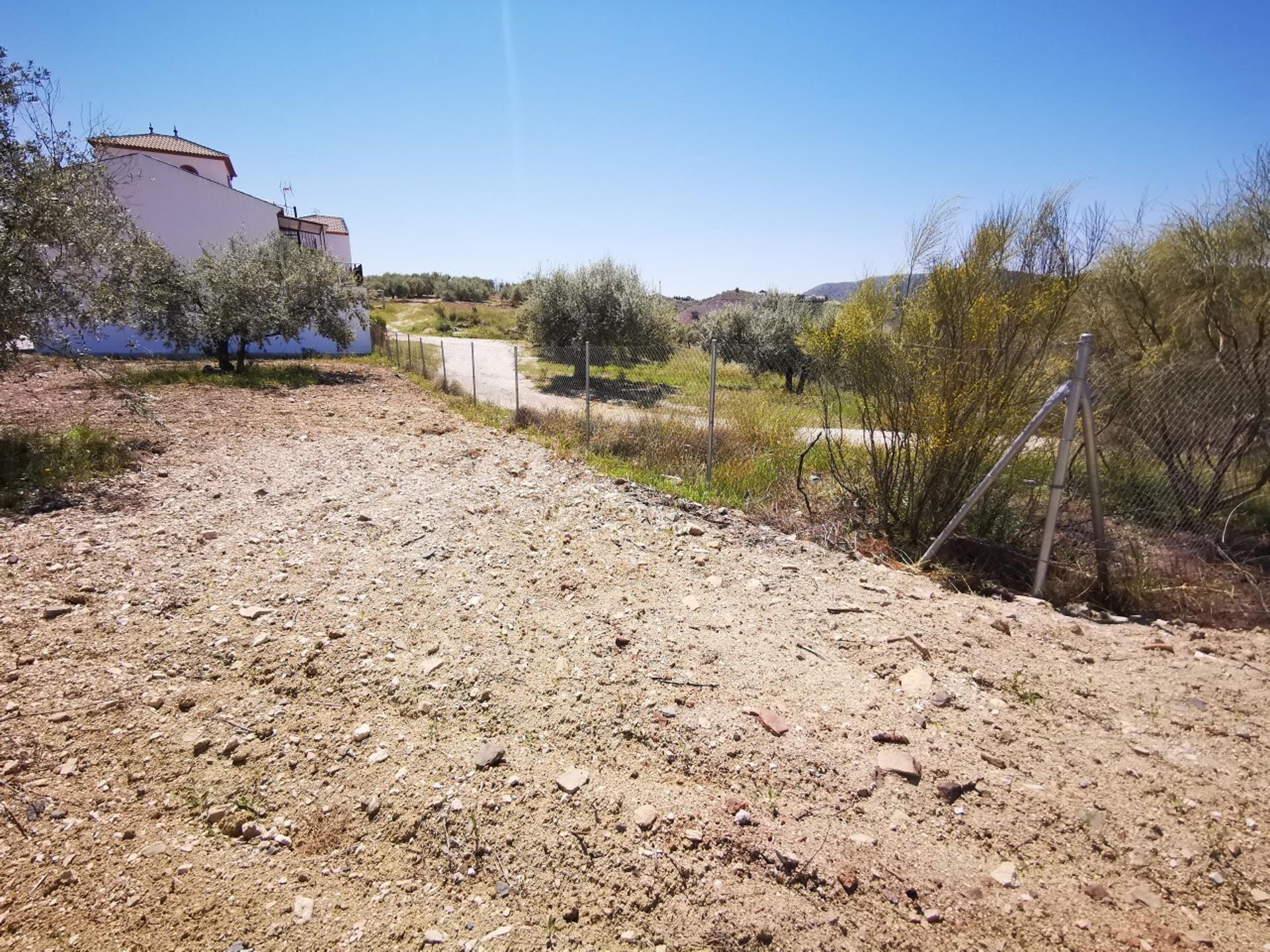 土地 在 Viñuela, Andalucía 11163409