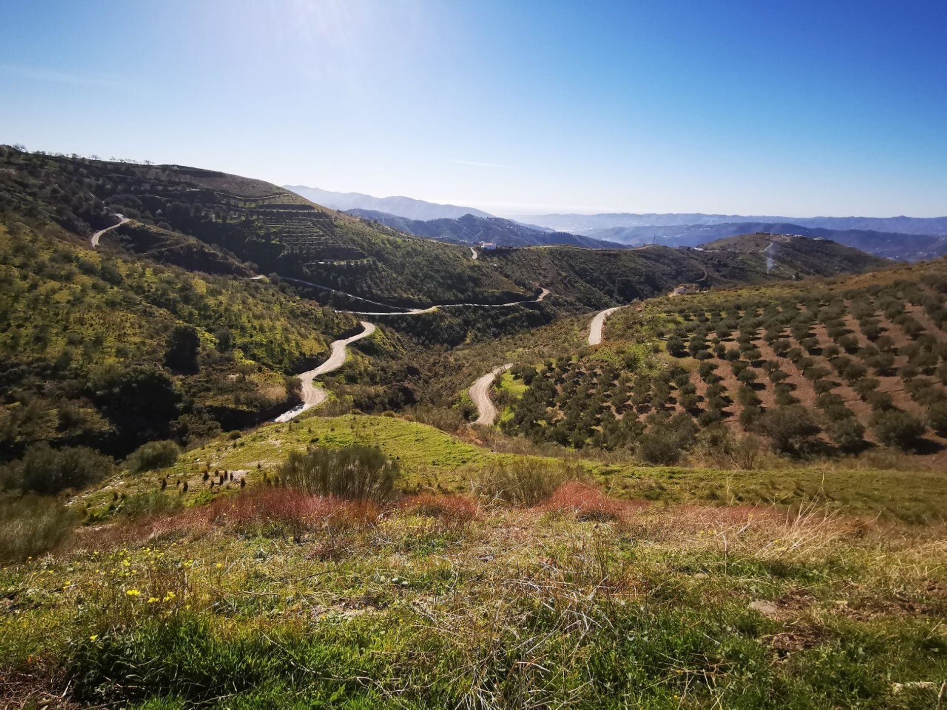 rumah dalam Canillas de Aceituno, Andalucía 11163586