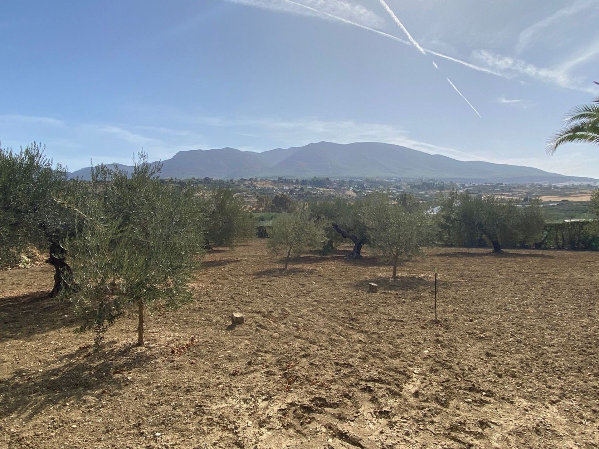 Hus i Alhaurín el Grande, Andalucía 11163770