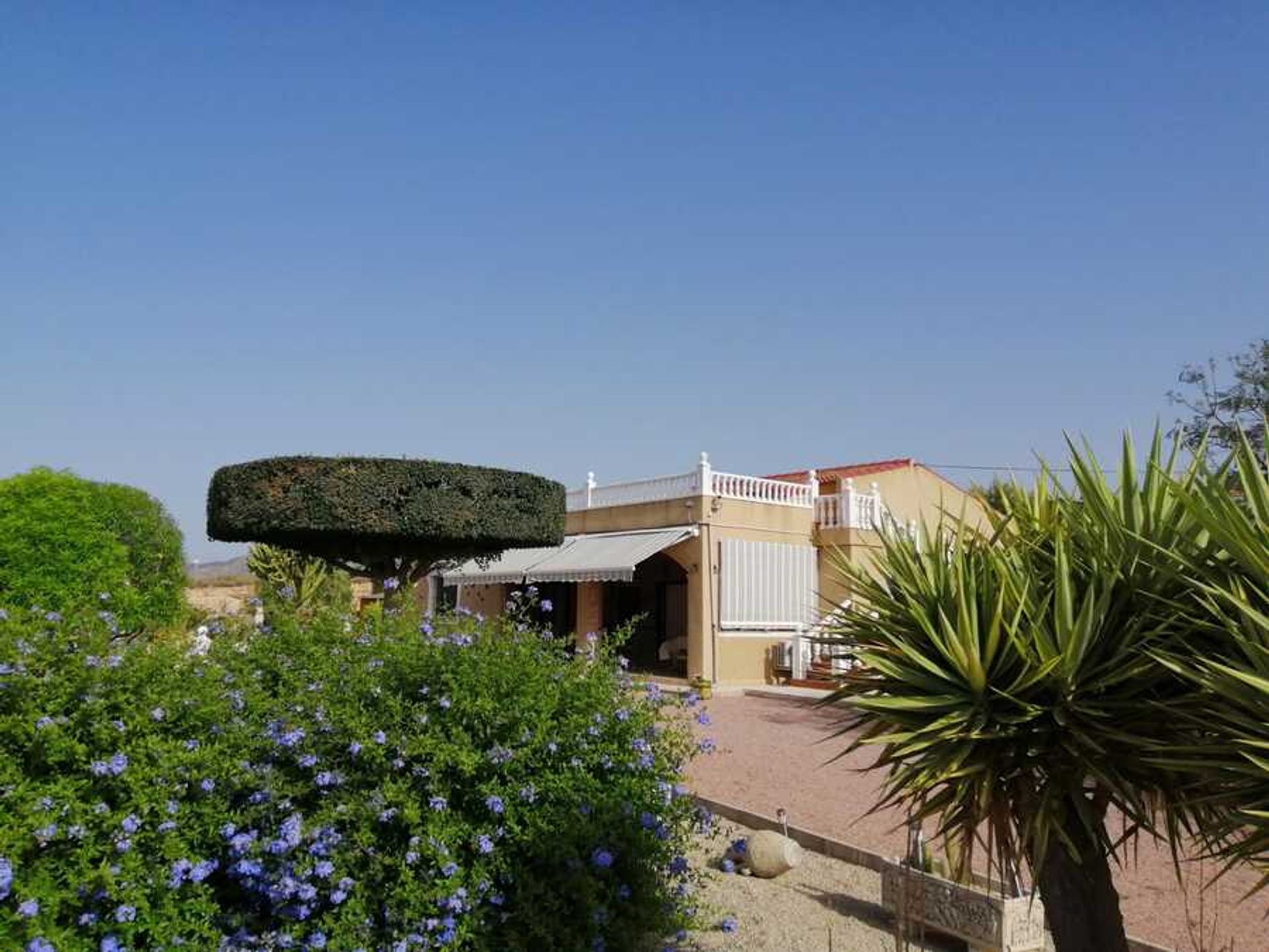 Huis in Albatera, Valencia 11164084