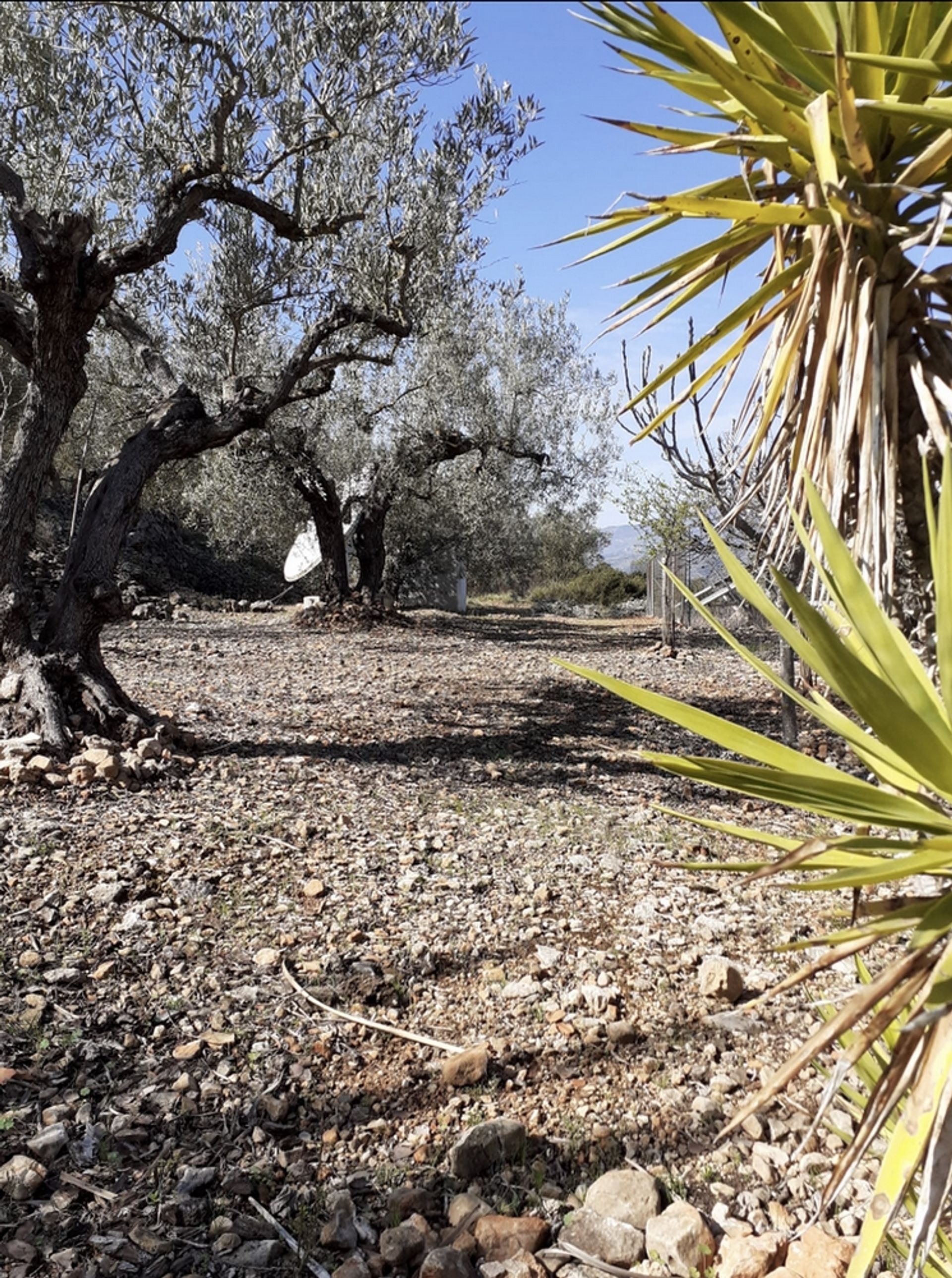 casa no Lorcha, Comunidad Valenciana 11164627