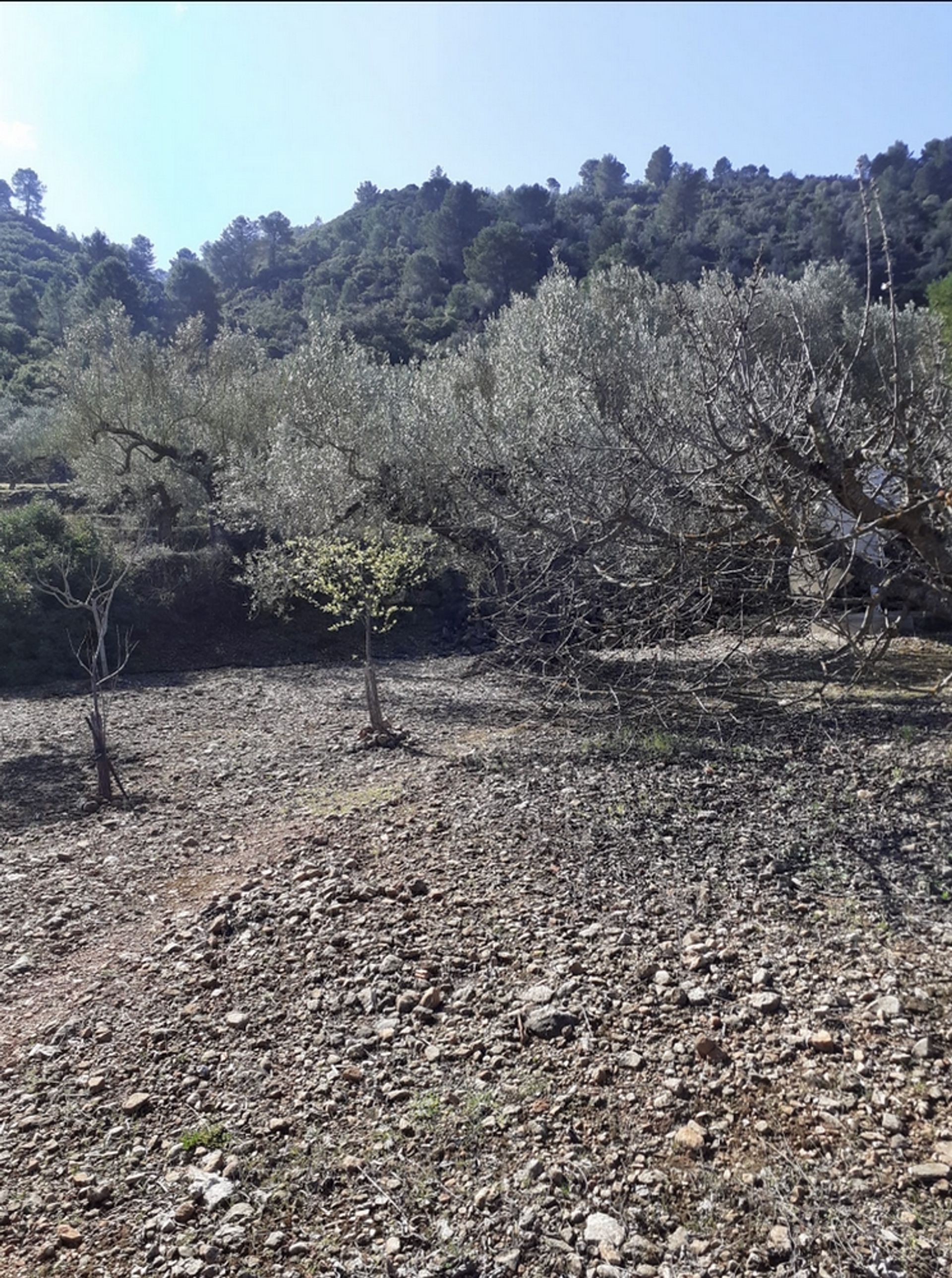 casa no Lorcha, Comunidad Valenciana 11164627