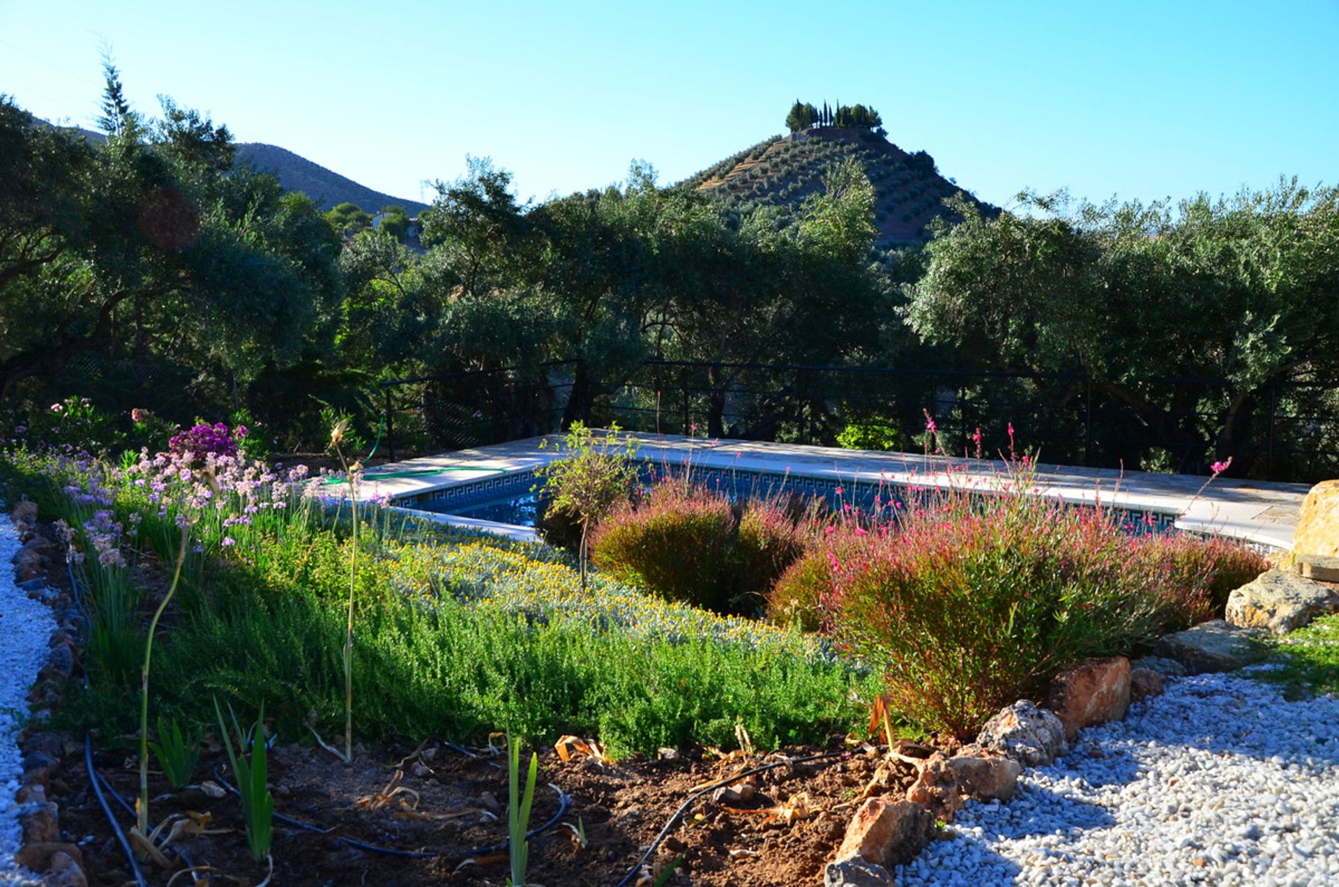 House in El Chorro, Andalucía 11165007