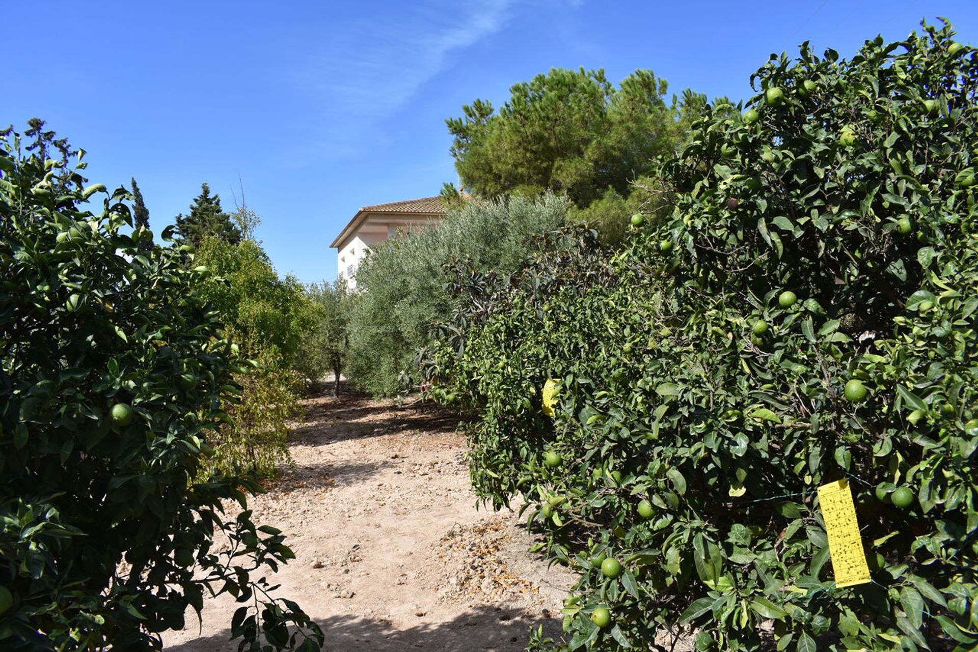 Huis in Paretón, Región de Murcia 11165126