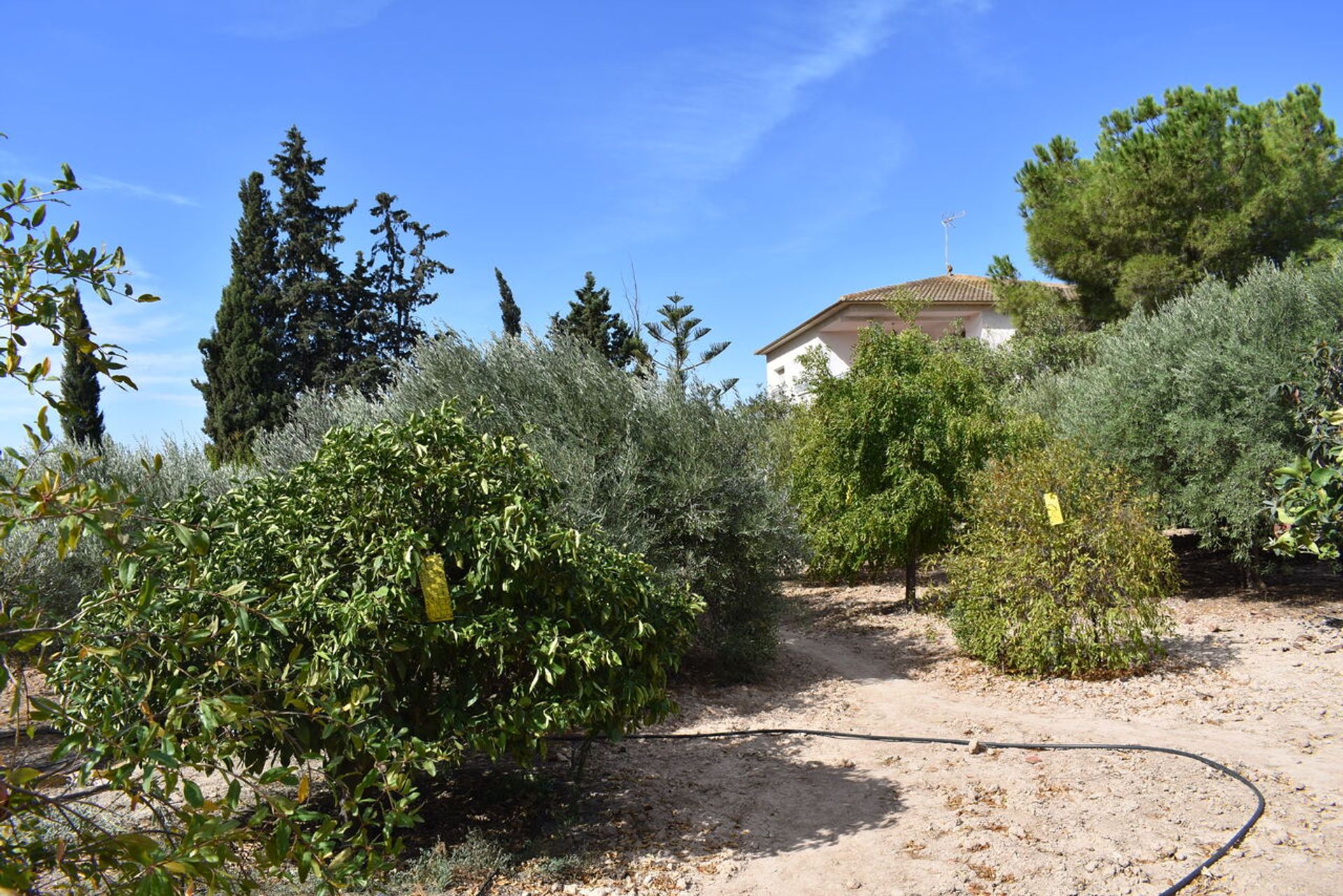 Huis in Paretón, Región de Murcia 11165126