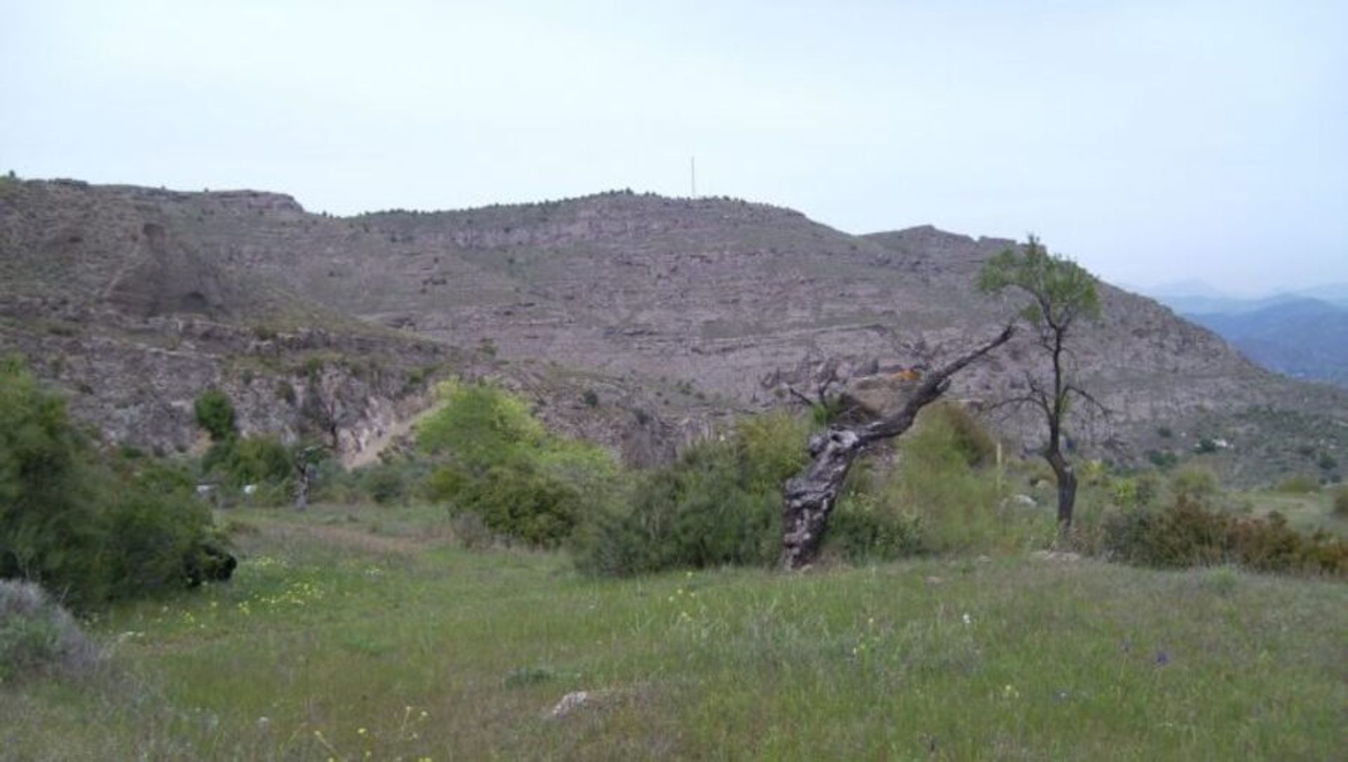 Tierra en Carratraca, Andalucía 11165755