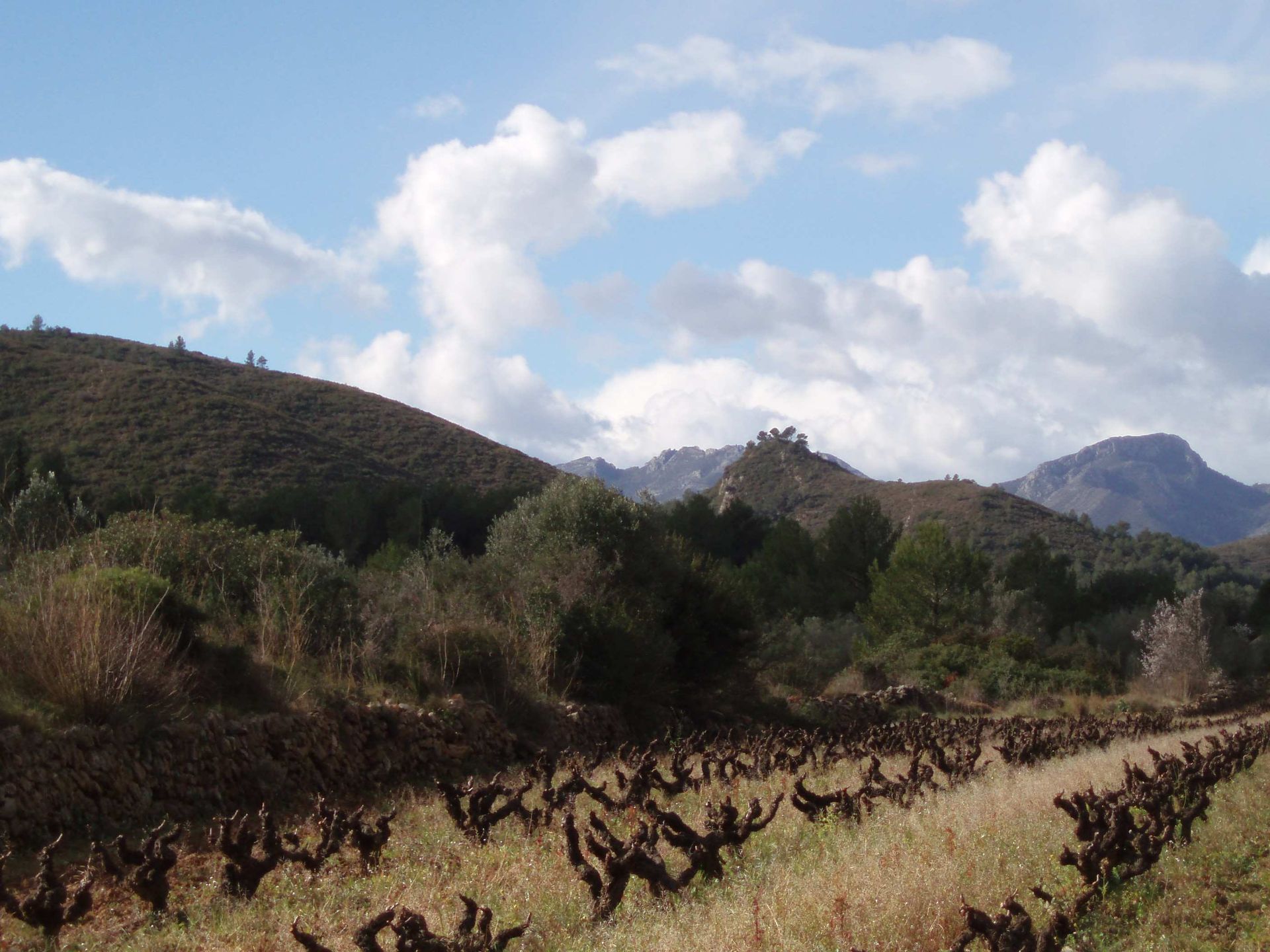 Tierra en Llíber, Valencia 11166519