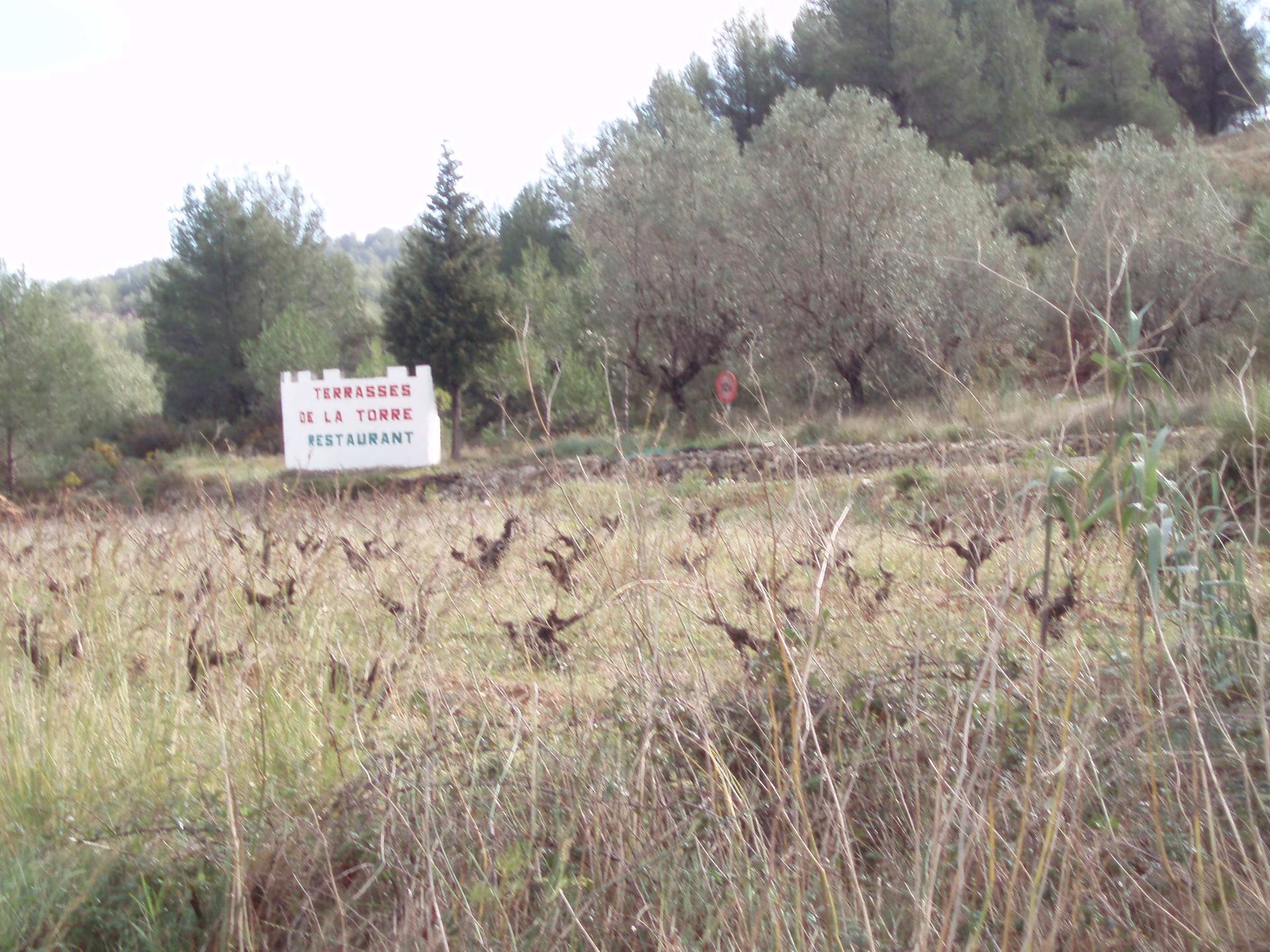 Tierra en Llíber, Valencia 11166519