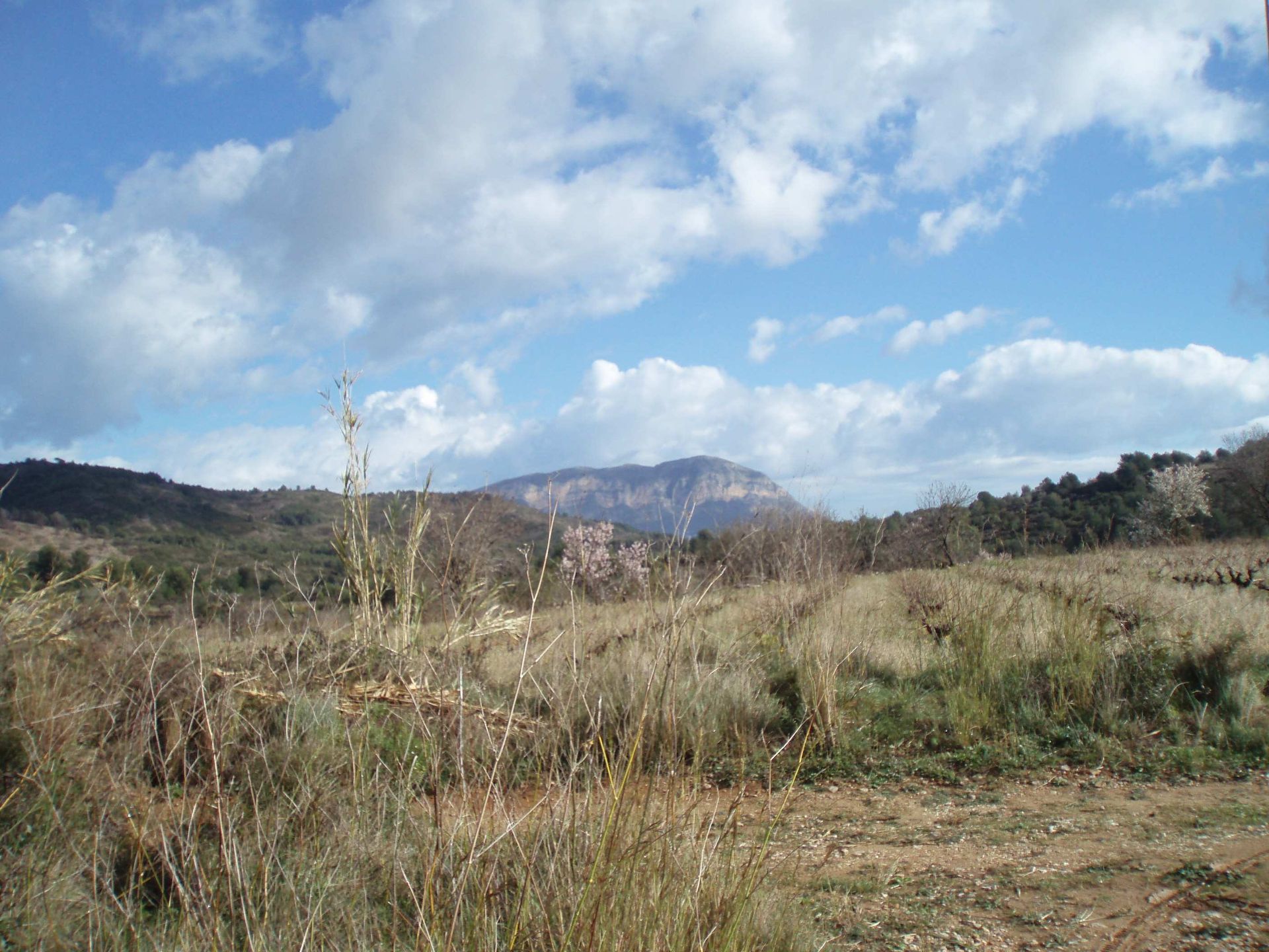 Tierra en Llíber, Valencia 11166519