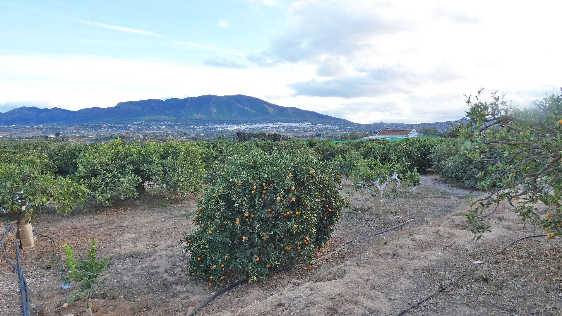 rumah dalam Alhaurín el Grande, Andalucía 11167894