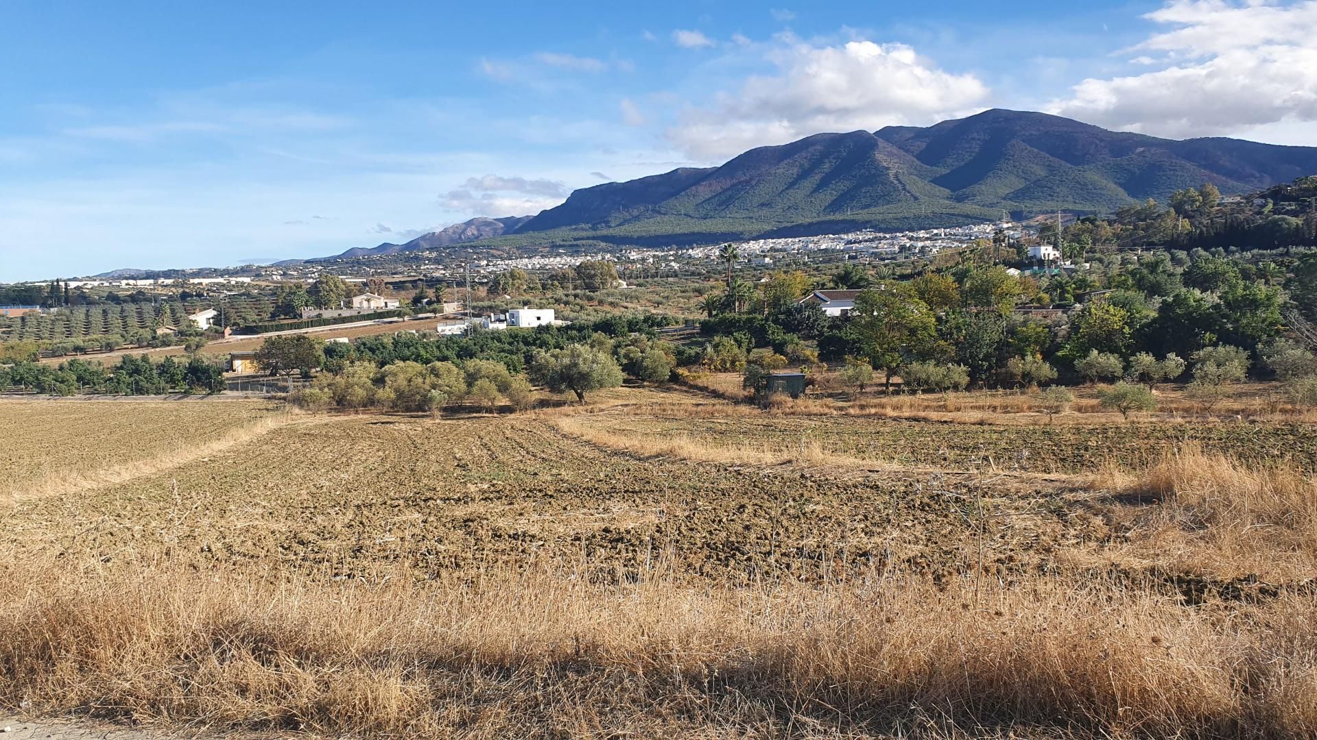 Terra no Moeda, Andaluzia 11168019