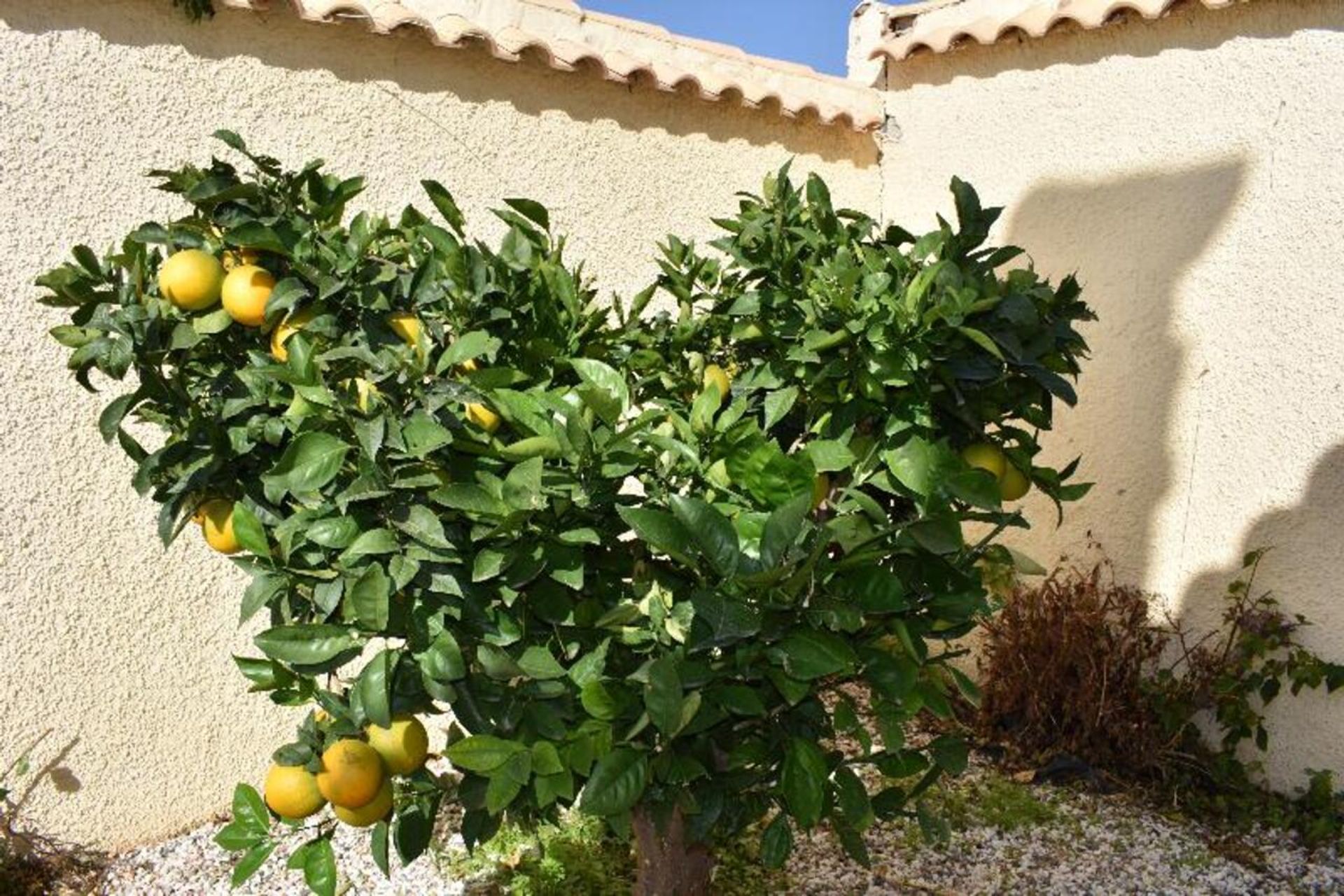 casa en Mazarrón, Región de Murcia 11168697