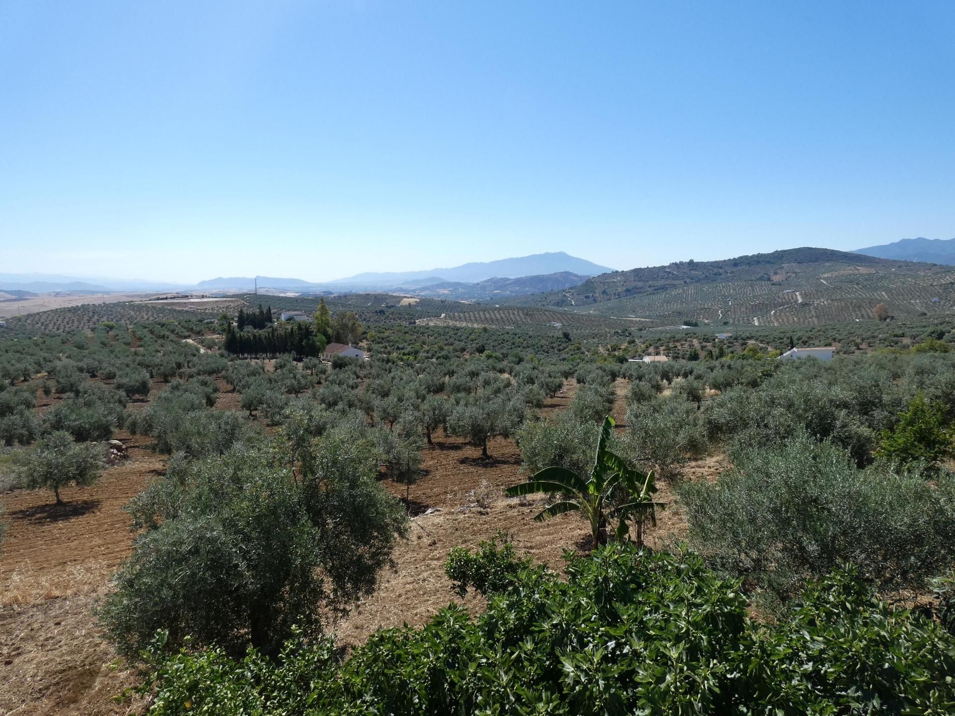 House in Alozaina, Andalucía 11169491