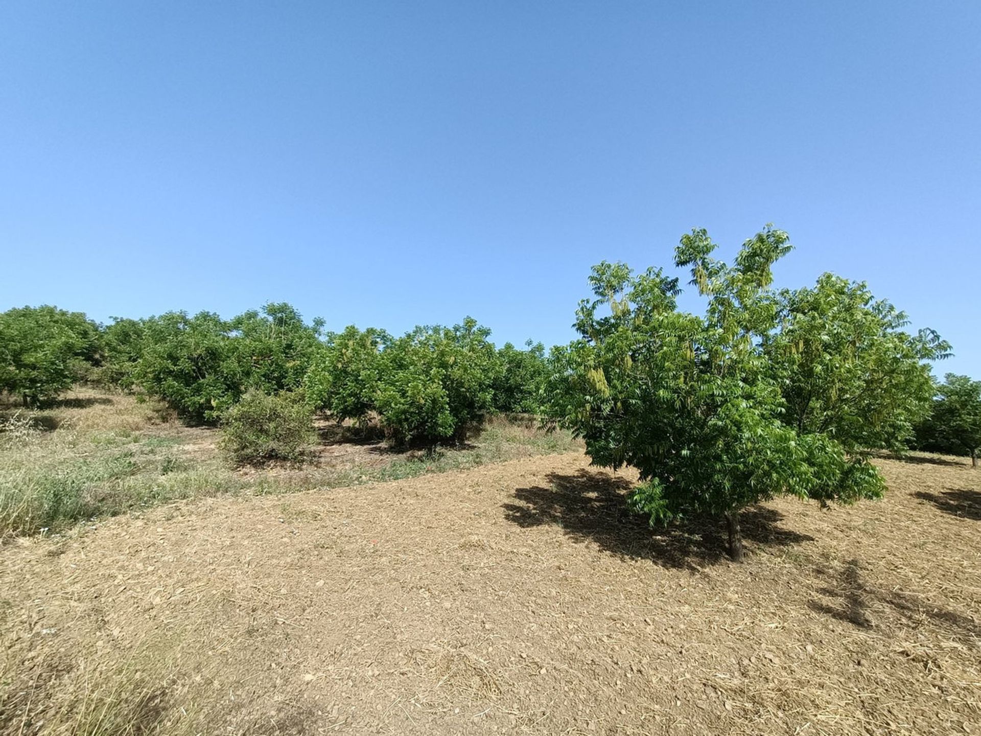 Rumah di Coín, Andalucía 11169654