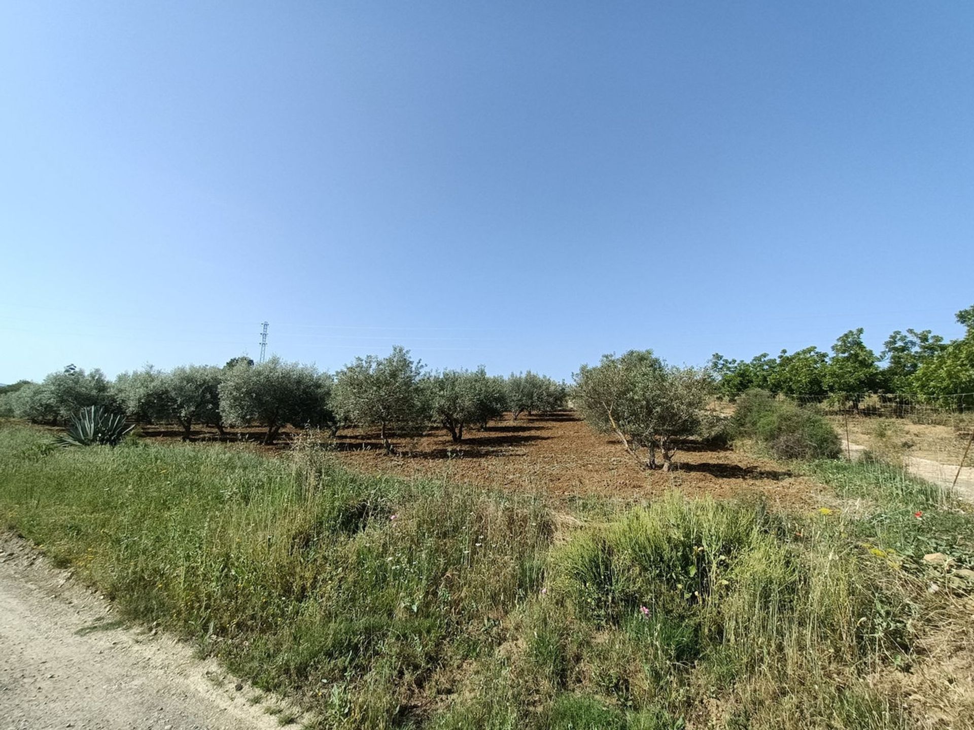 Rumah di Coín, Andalucía 11169654