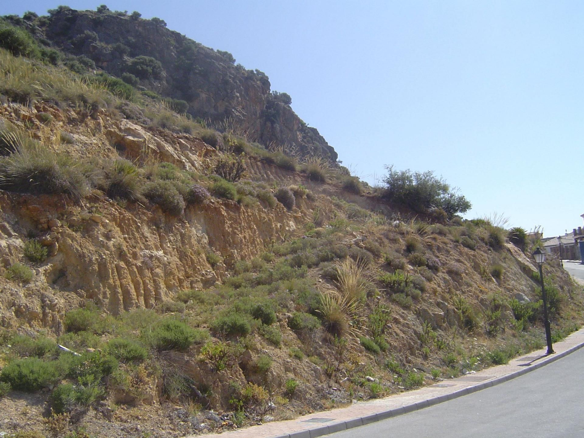 Land in Coin, Andalusia 11169874