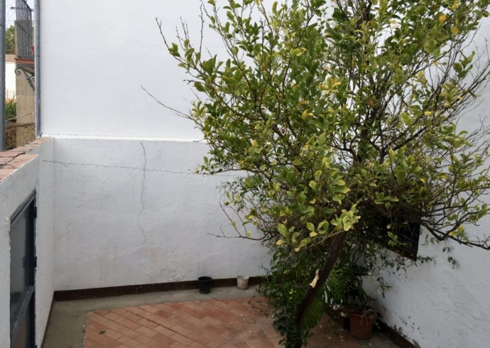 House in Olvera, Andalucía 11170036